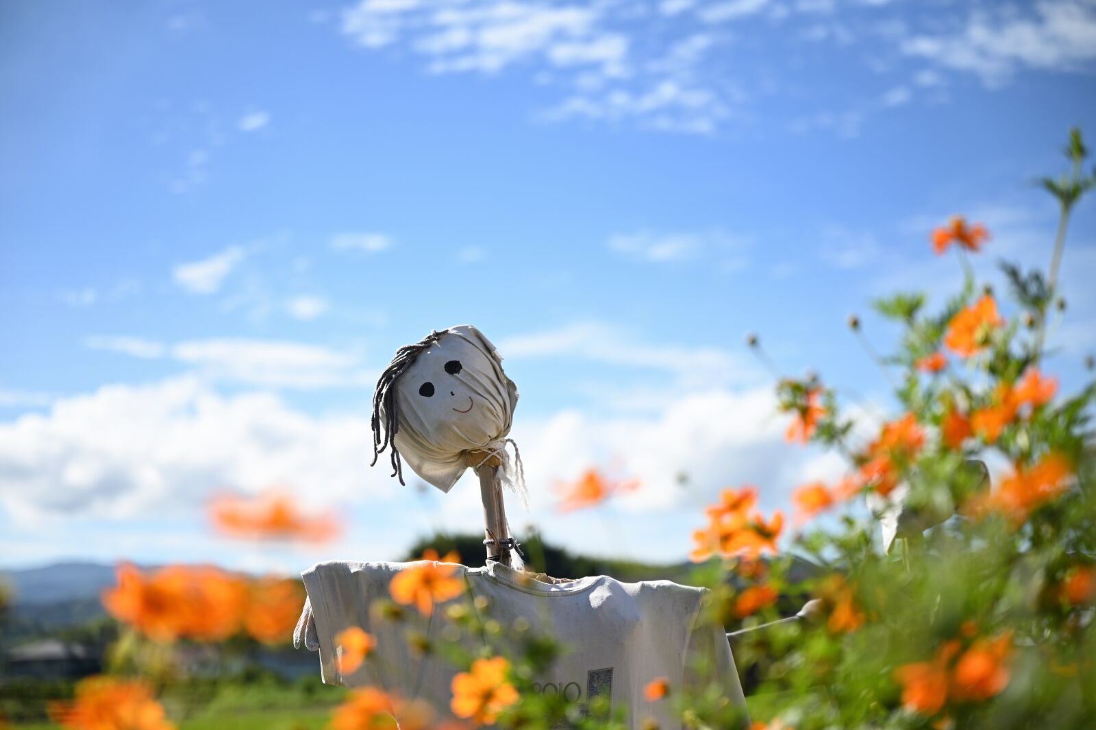 Nikon Nikkor Z 24-70mm F2.8 S sample photo. Scarecrow, japan, yamada's rice photography