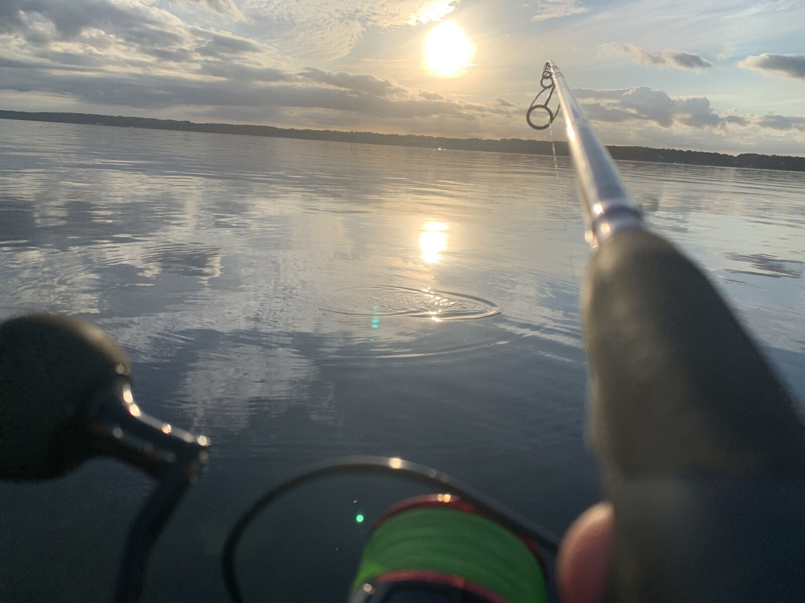 iPhone XR back camera 4.25mm f/1.8 sample photo. Fish, relax, relaxation photography