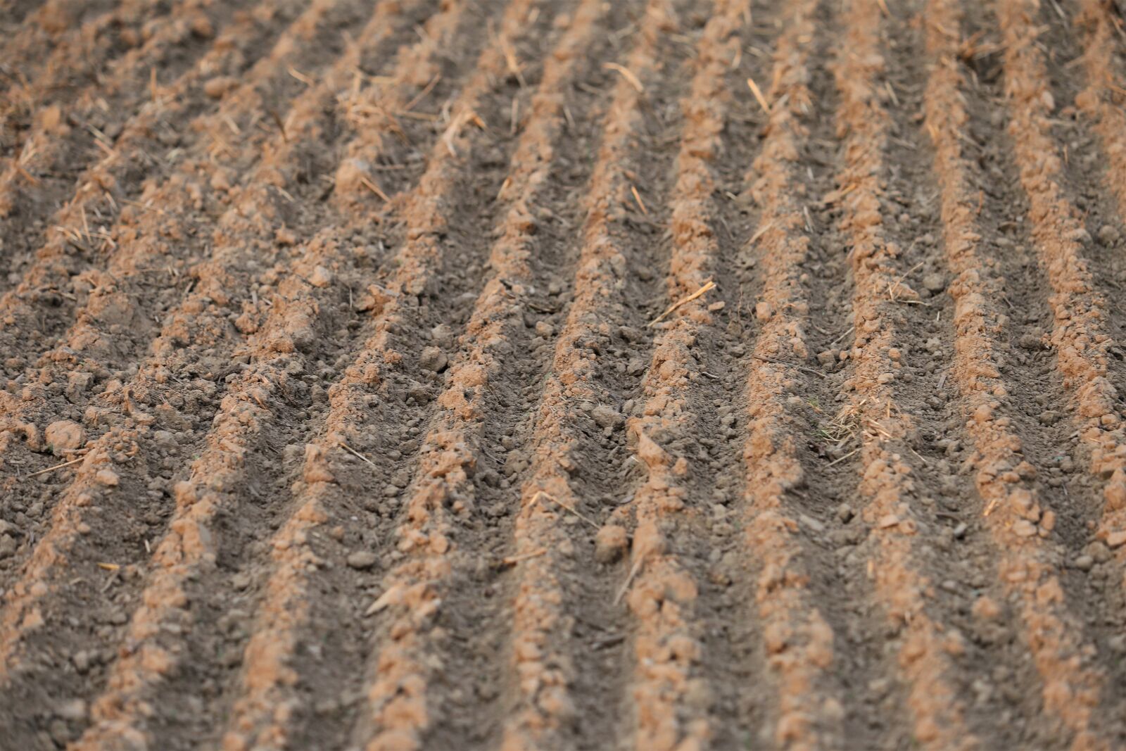 Canon EF 70-300 F4-5.6 IS II USM sample photo. Agriculture, ploughed land, earth photography