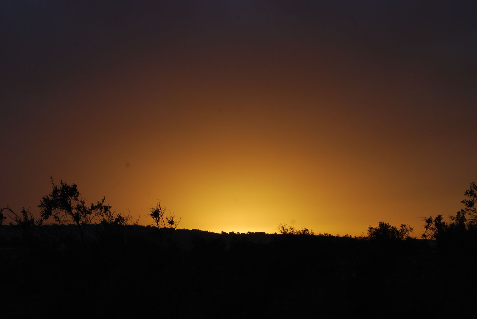 Nikon D80 sample photo. Sunset, sky, landscape photography