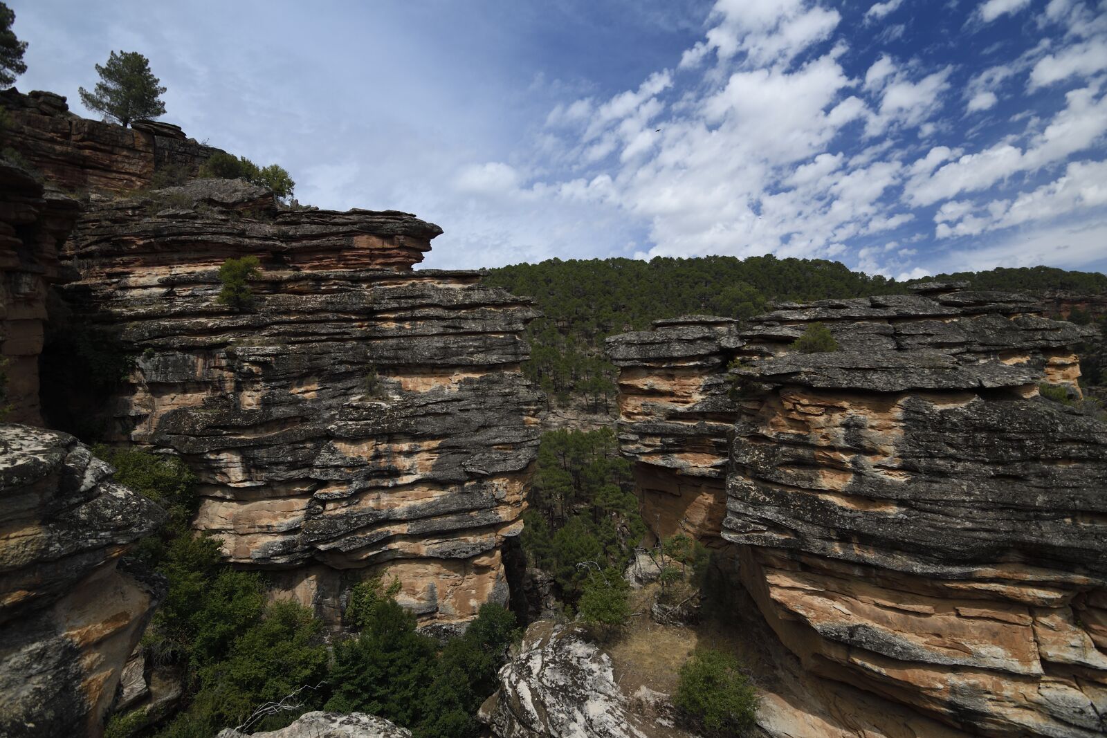 Nikon D500 sample photo. Sickle, cannon, rocks photography