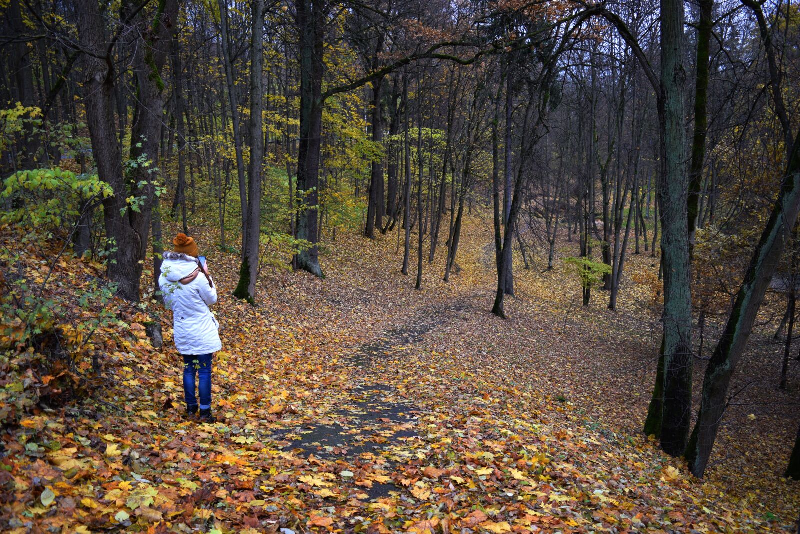 Nikon D3300 sample photo. Autumn, girl, trees photography