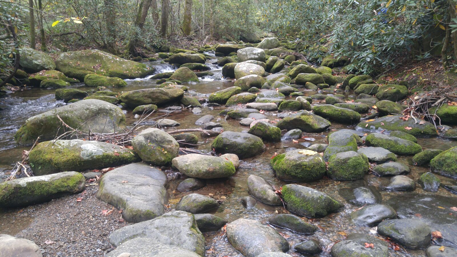 LG G4 sample photo. Mossy, rocks, rocky, stream photography