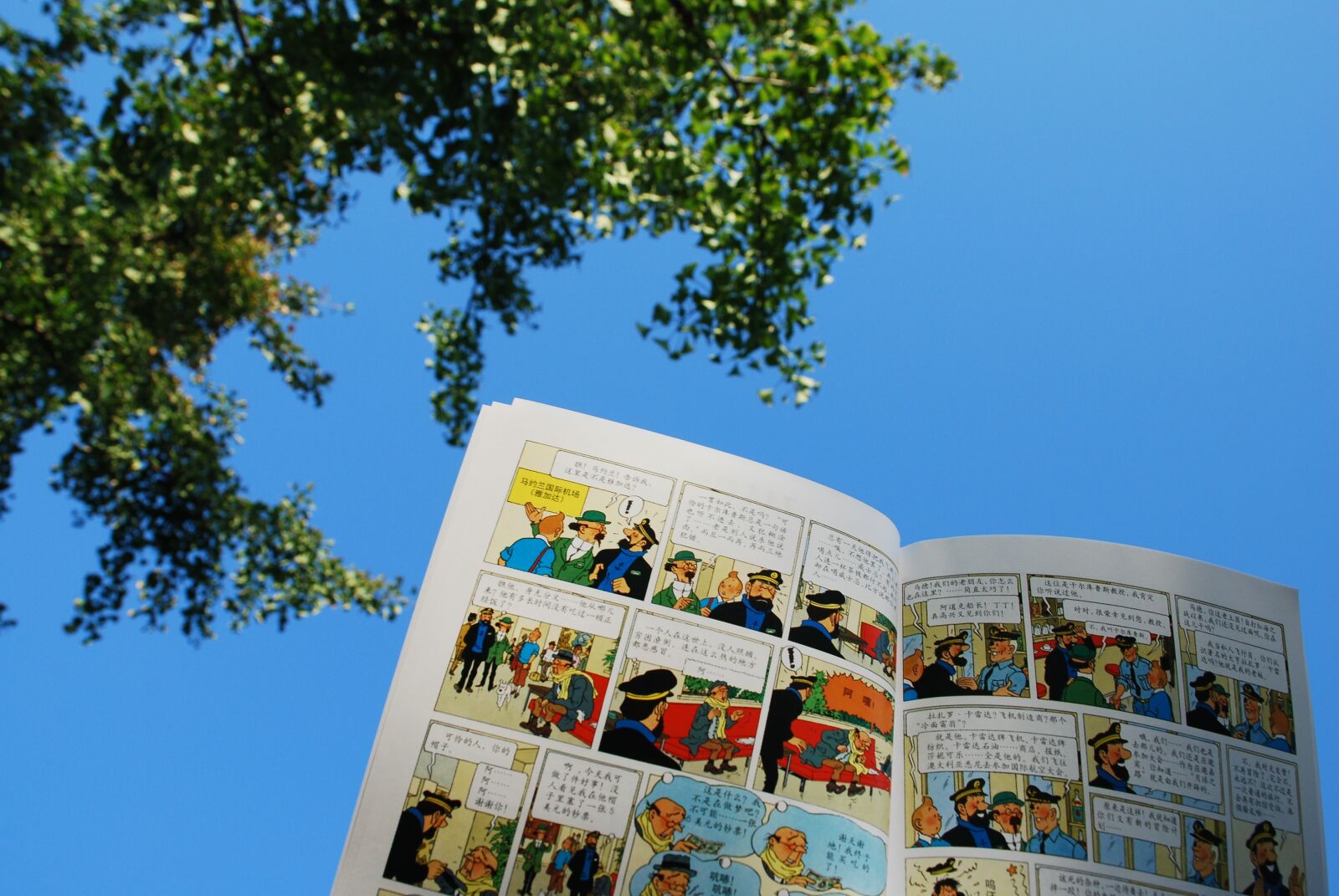 Nikon D80 sample photo. The adventures of tintin photography