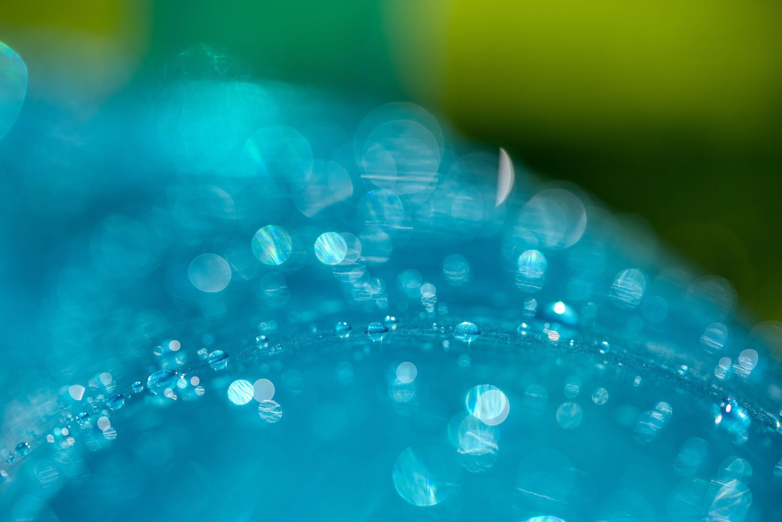Nikon D750 sample photo. Paddling pool, edge, ring photography