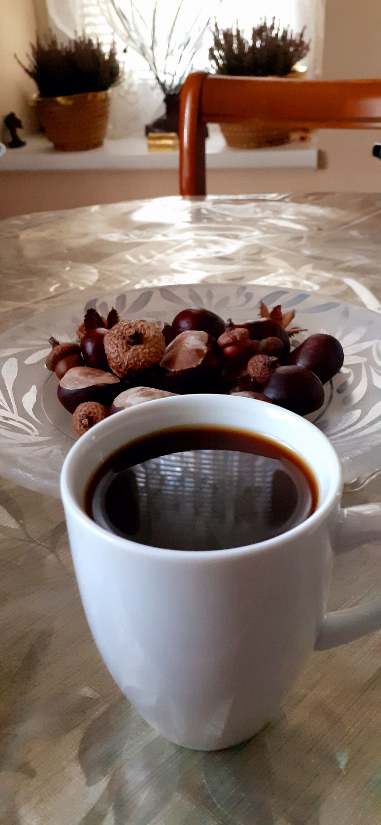 Samsung SM-A202F sample photo. Welcom, cafe, welcome photography