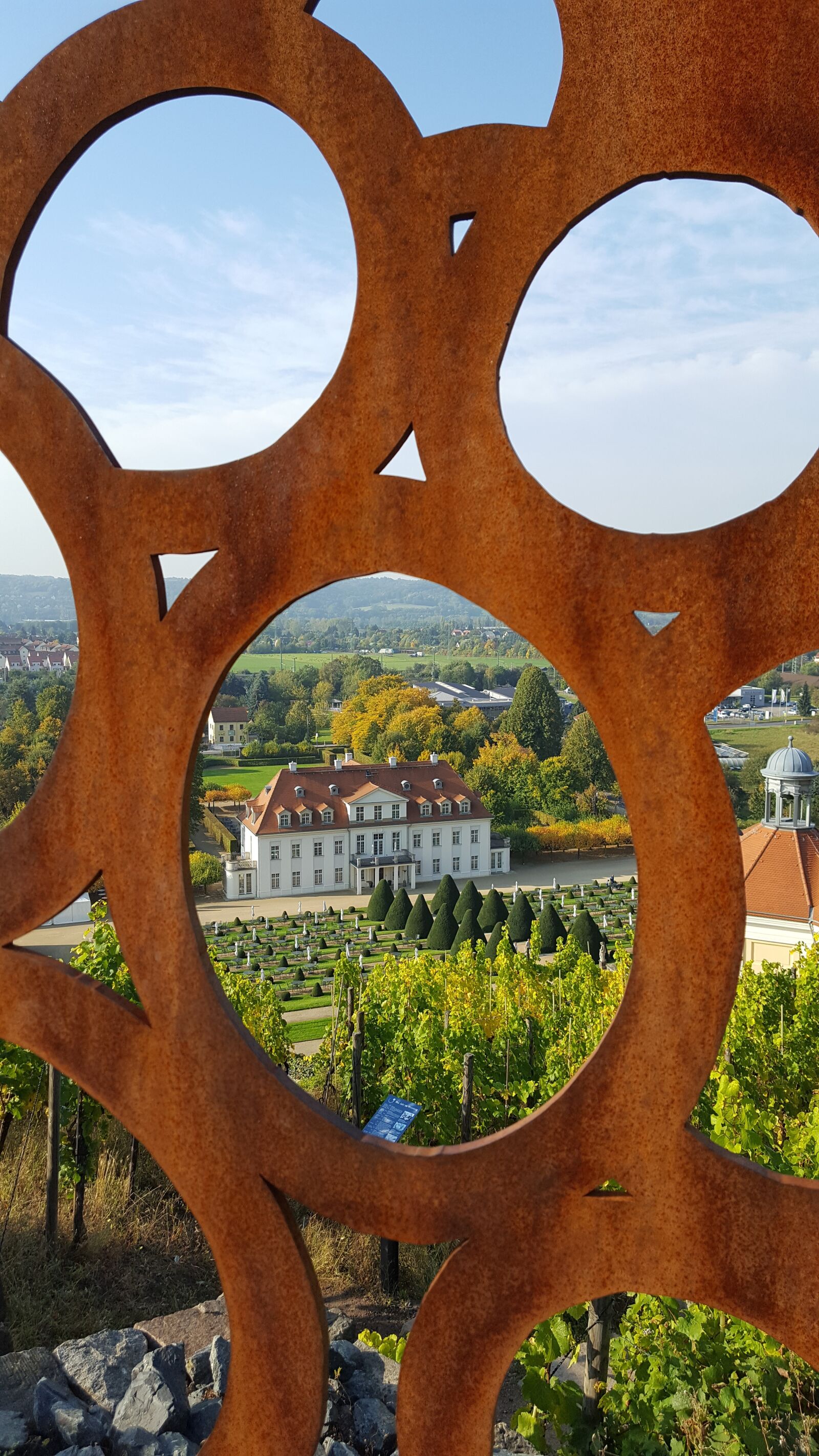 Samsung Galaxy S6 sample photo. Vineyard, distant view, schloss photography