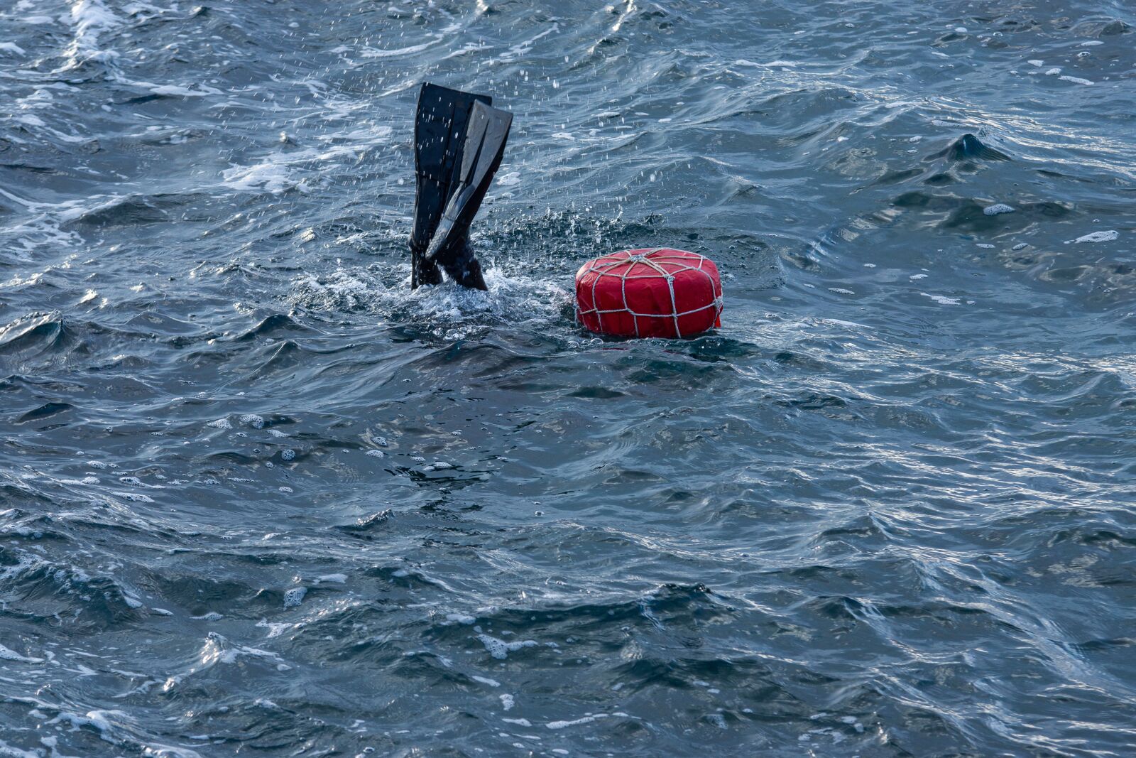 Sony SLT-A77 sample photo. Female diver, fish, sea photography