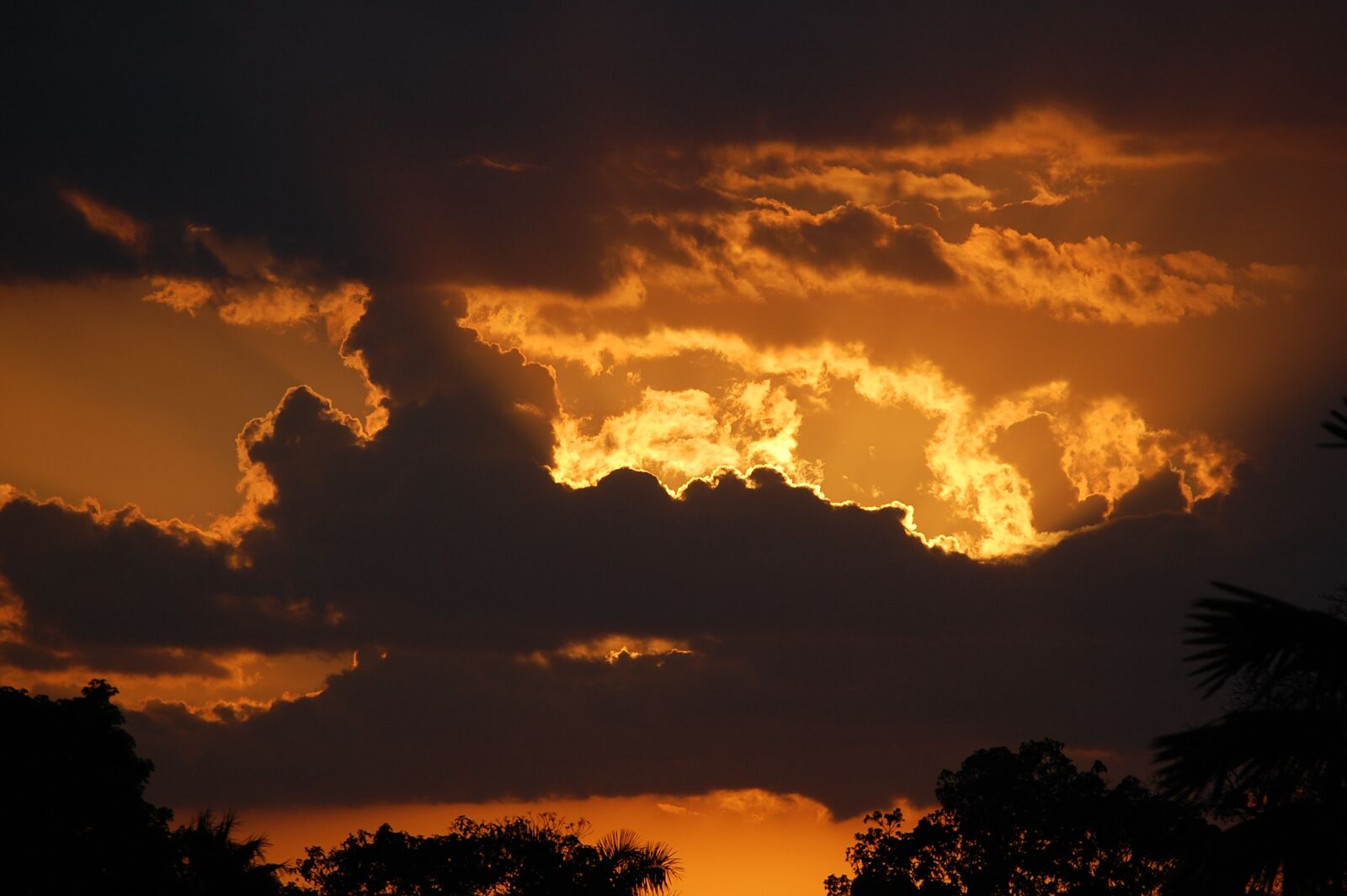 Nikon D40 sample photo. Sunset, sky, sunlight photography