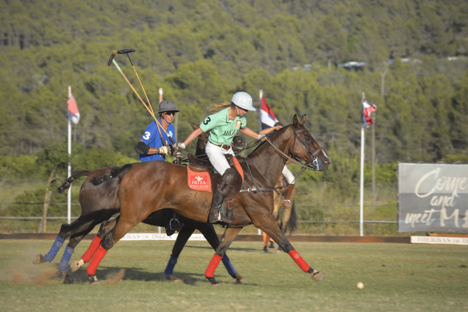 Nikon D610 sample photo. Horse, horses, polo photography
