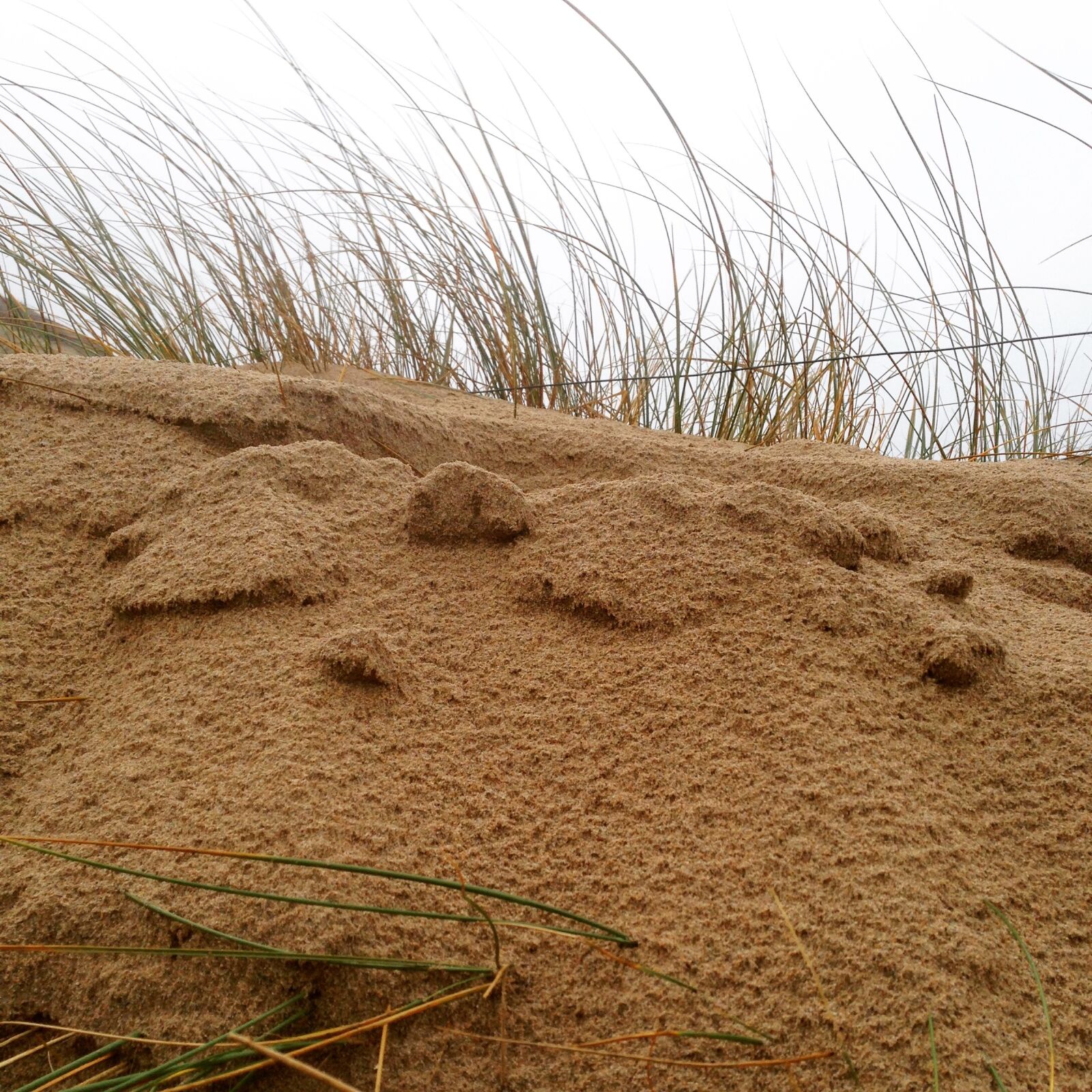 Apple iPhone 5 sample photo. Dune, sand, coast photography