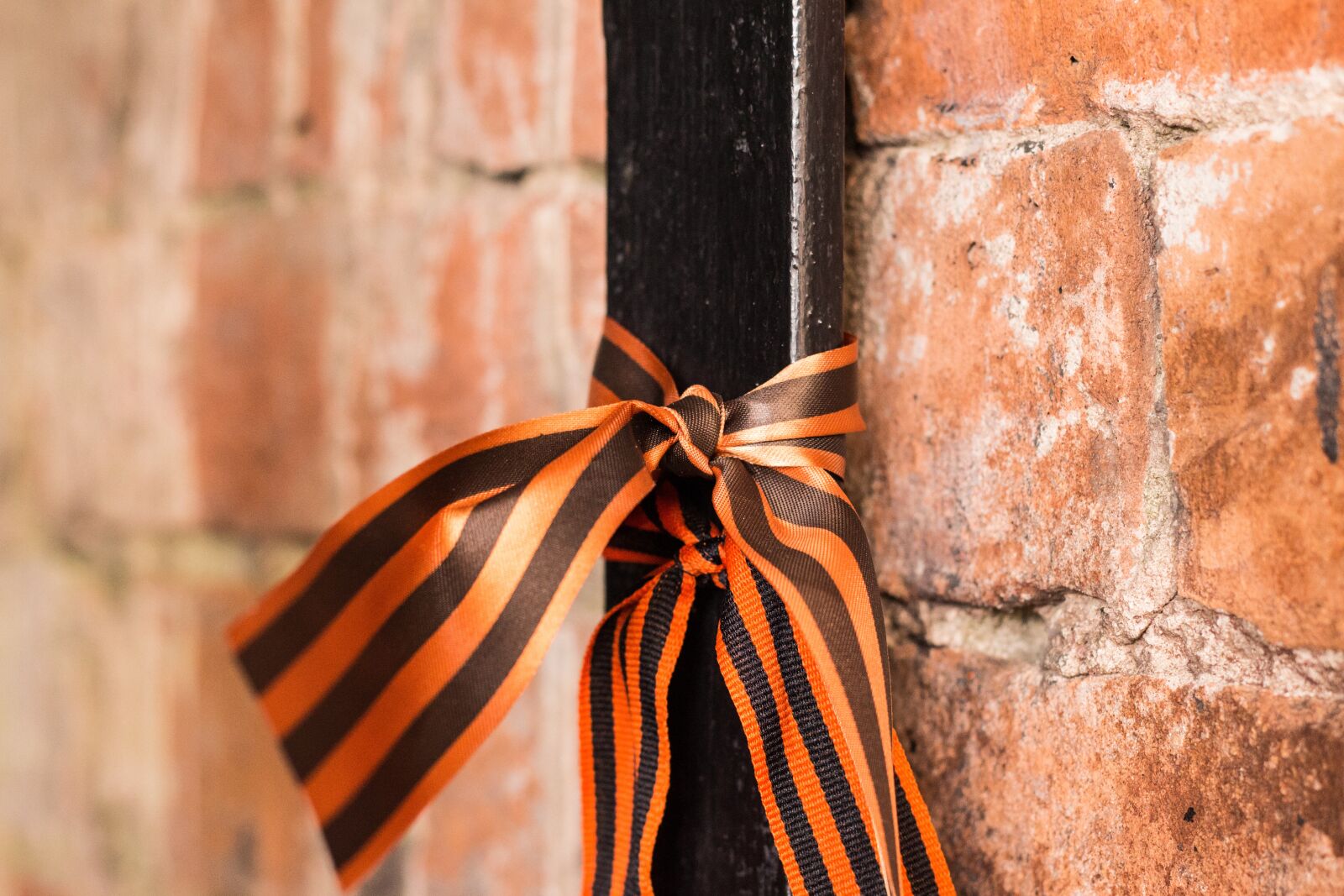 Canon EOS 700D (EOS Rebel T5i / EOS Kiss X7i) + Canon EF 50mm F1.8 II sample photo. Victory day, george's ribbon photography