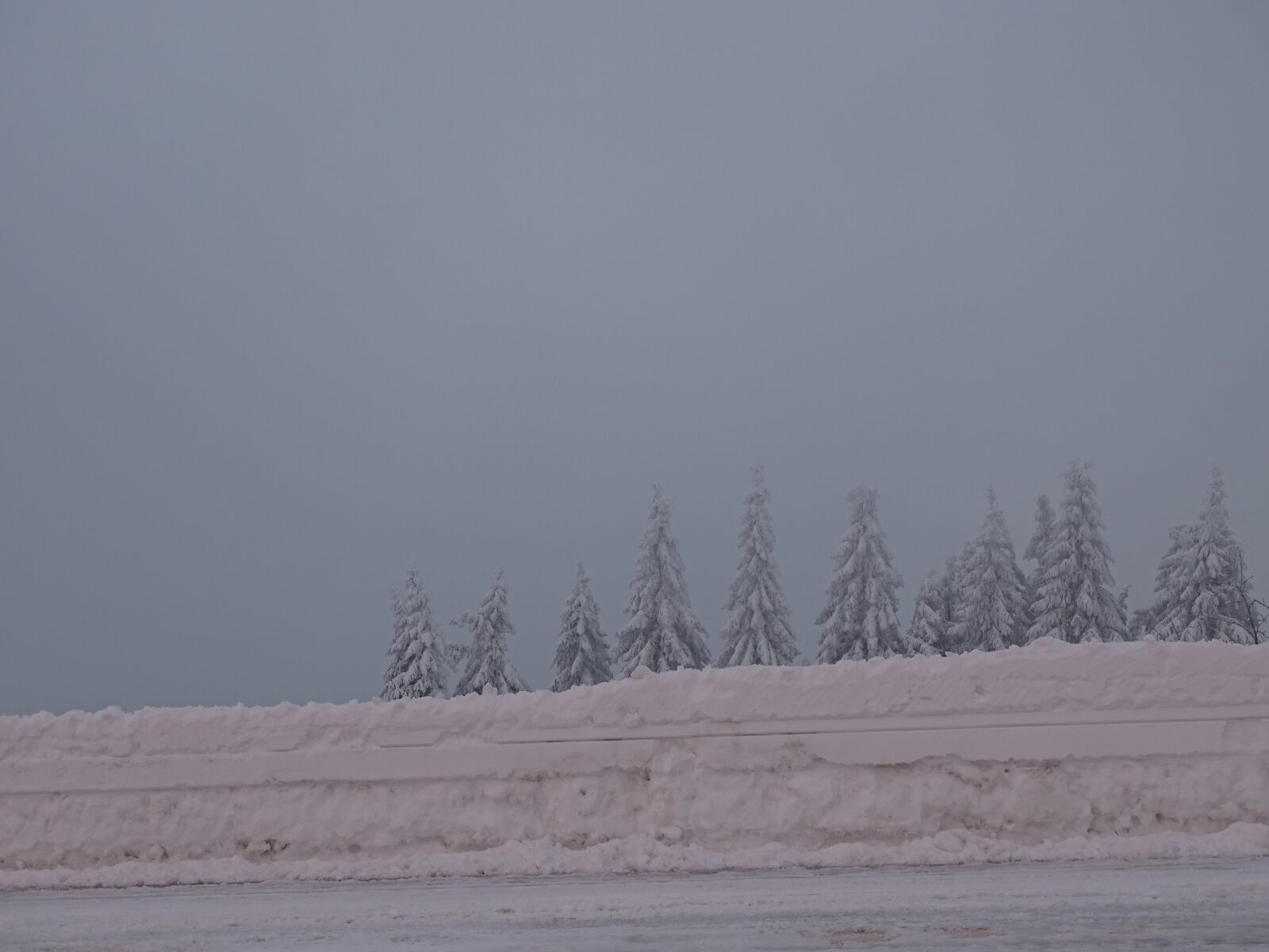 Sony Cyber-shot DSC-HX400V sample photo. Winter, trees, wintry photography