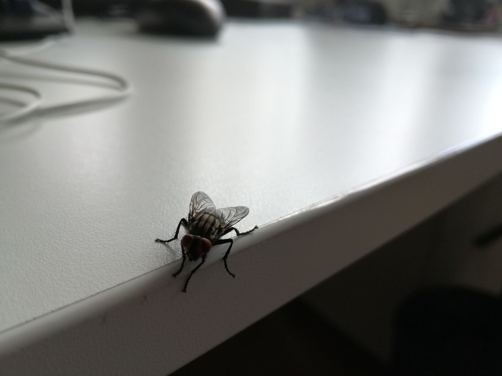 HUAWEI VNS-L21 sample photo
