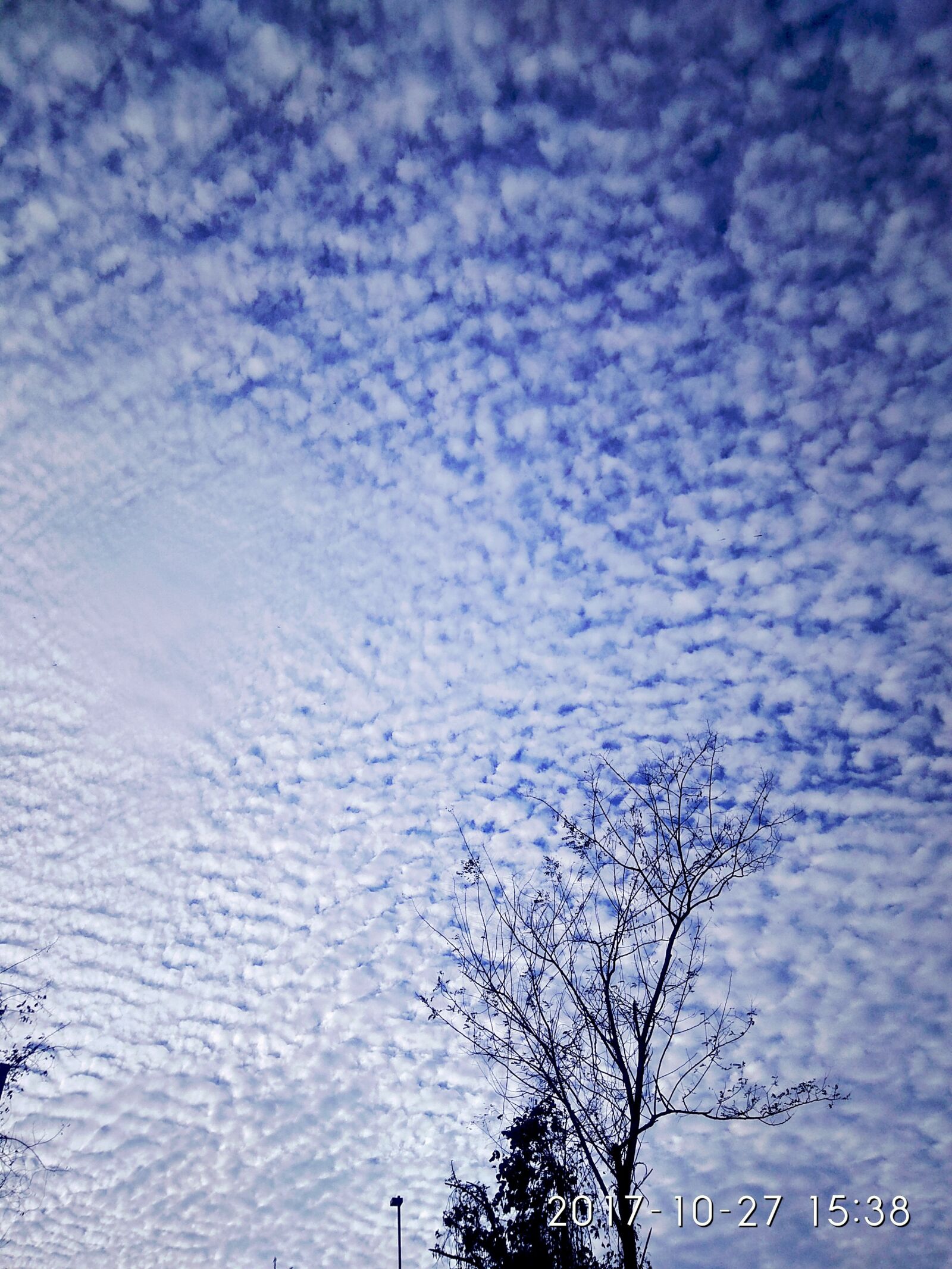 Xiaomi Redmi Note 4 sample photo