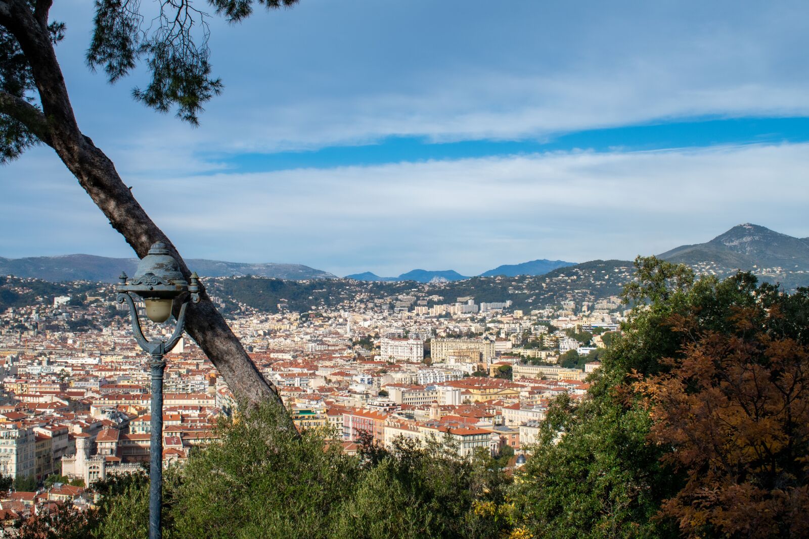Nikon D5600 sample photo. Mountains, trees, city photography