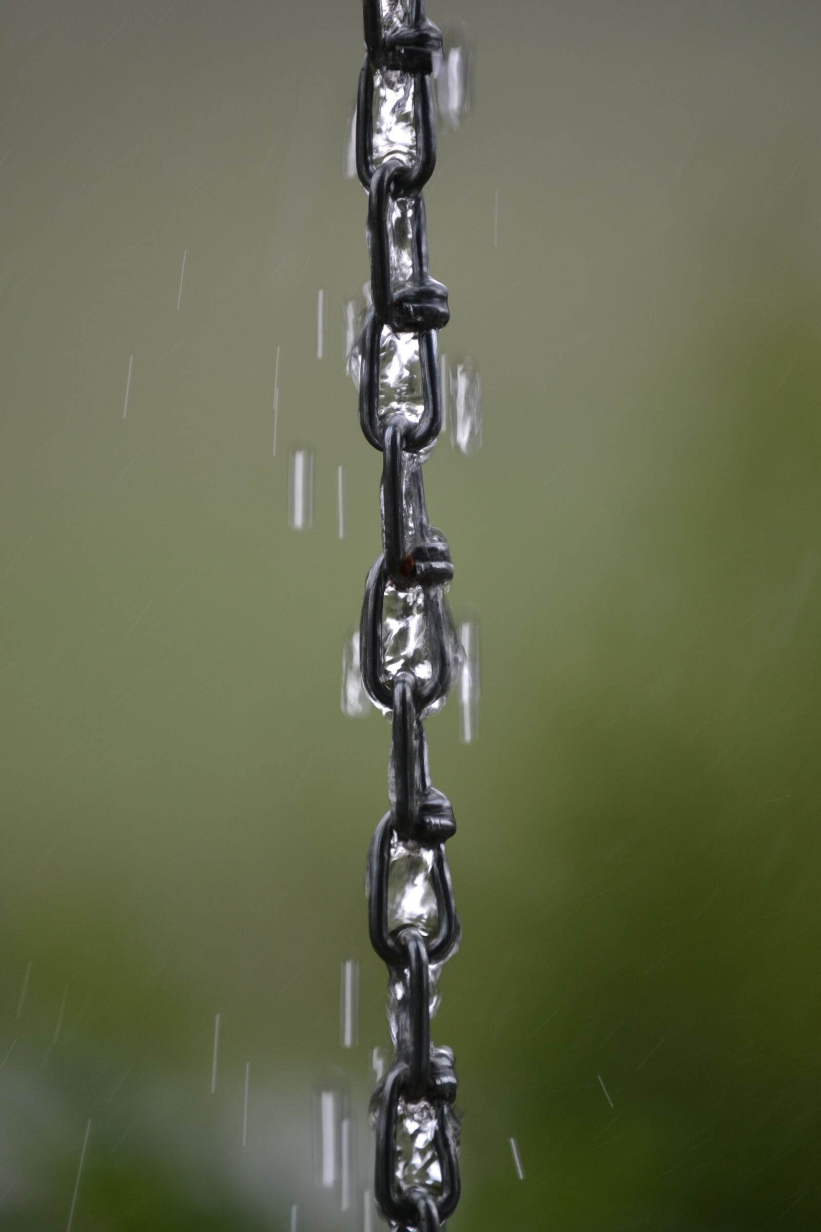 Nikon D3100 sample photo. Chain, steel, iron photography