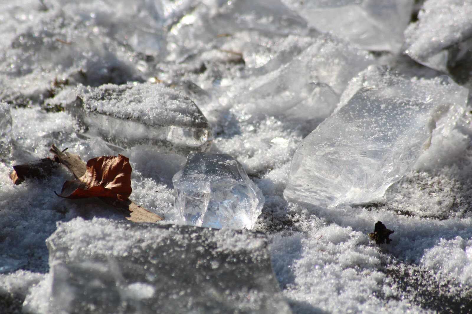 Canon EOS 600D (Rebel EOS T3i / EOS Kiss X5) sample photo. Ice, winter, lake photography