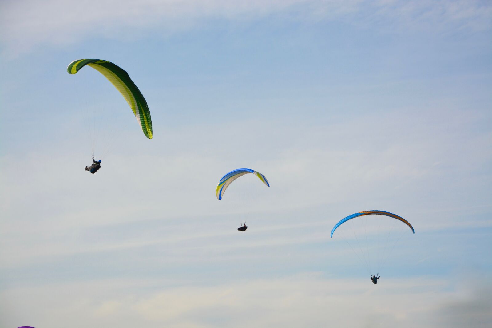 Nikon D5200 sample photo. Paragliders, practice in free photography