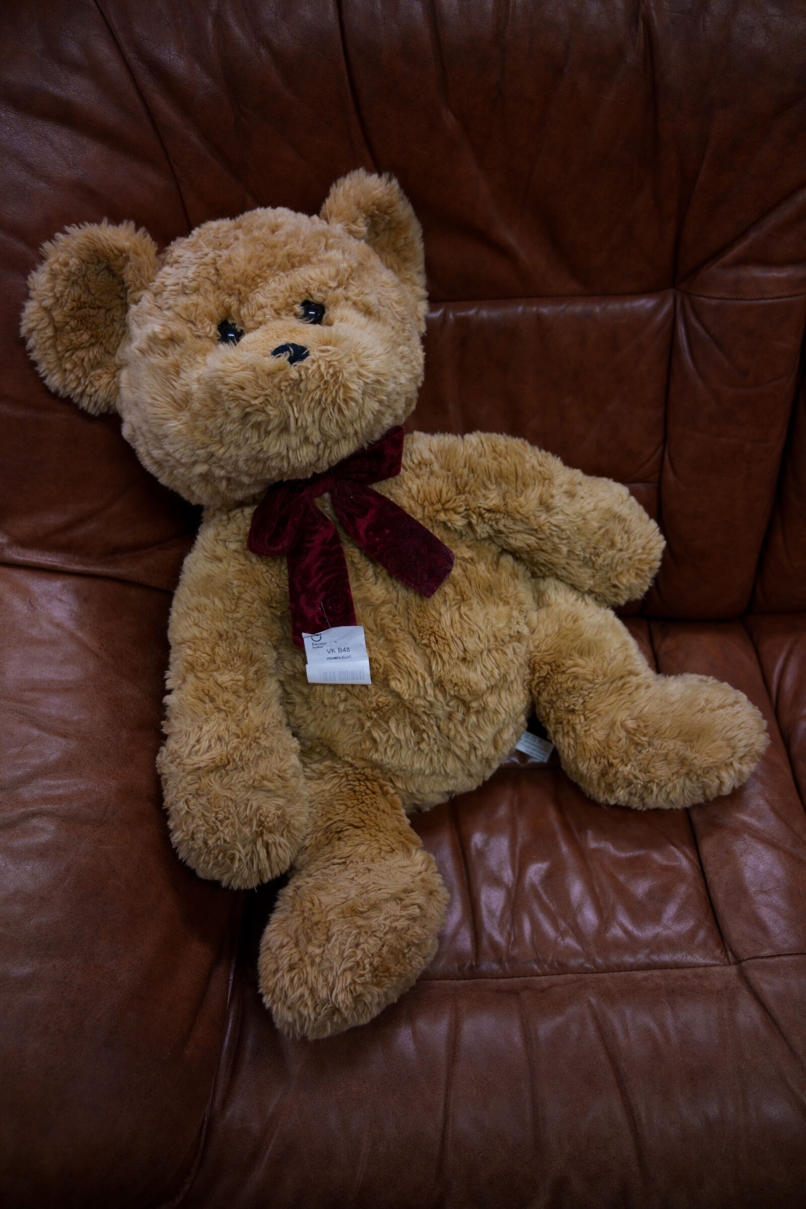 Samyang Remaster Slim 28mm F3.5 sample photo. Teddy for sale photography