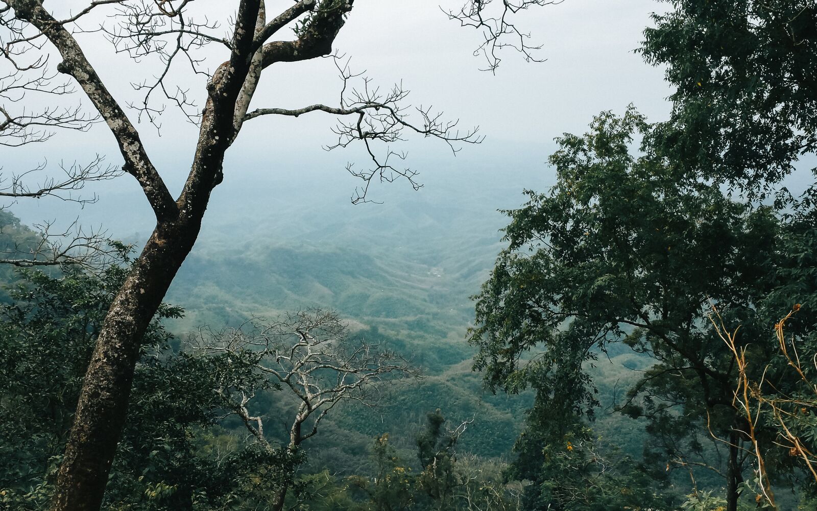 Samsung Galaxy S4 sample photo. Mountains, trees, green photography