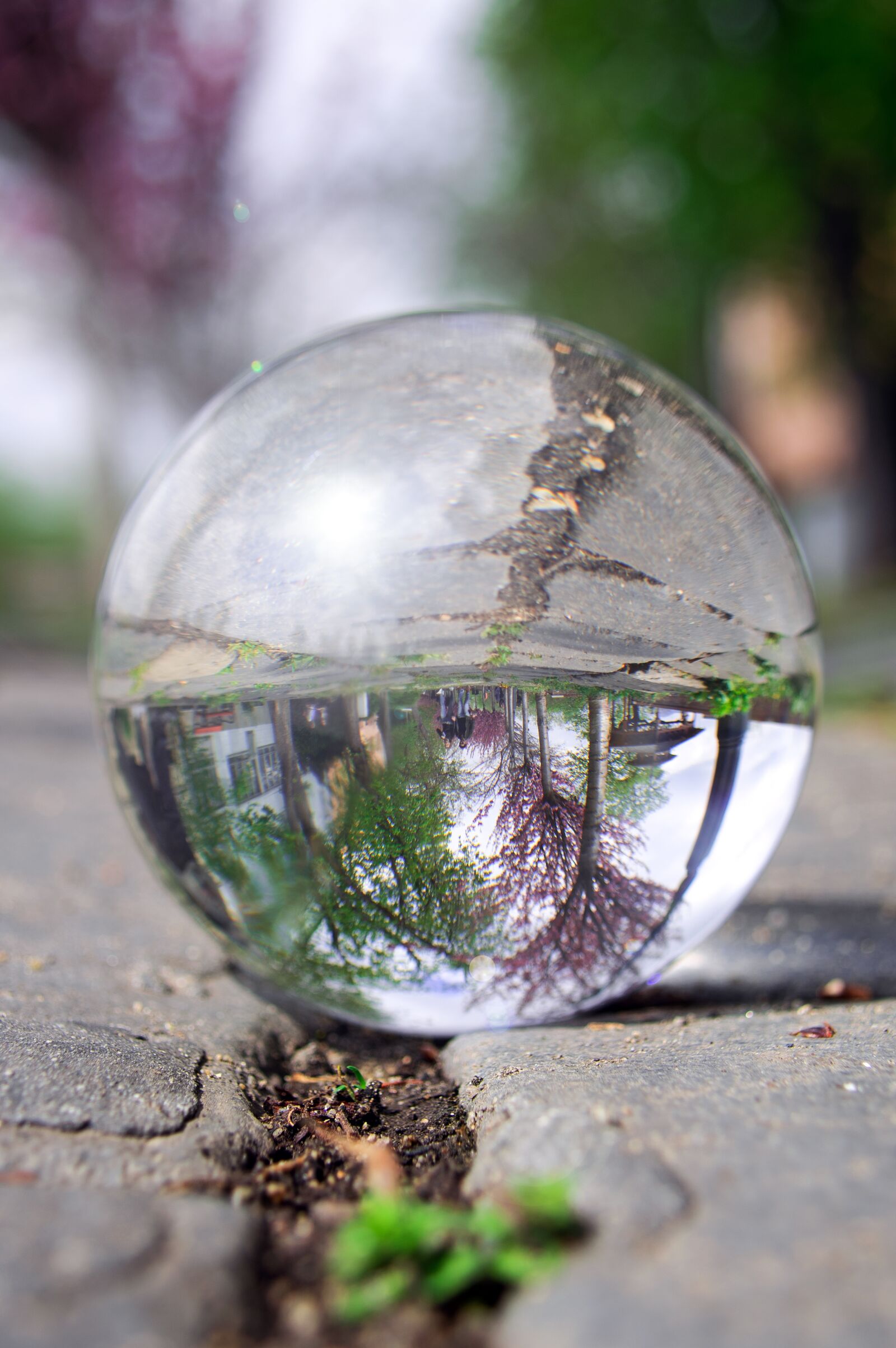 Nikon D3200 sample photo. Glass globe, fot g photography