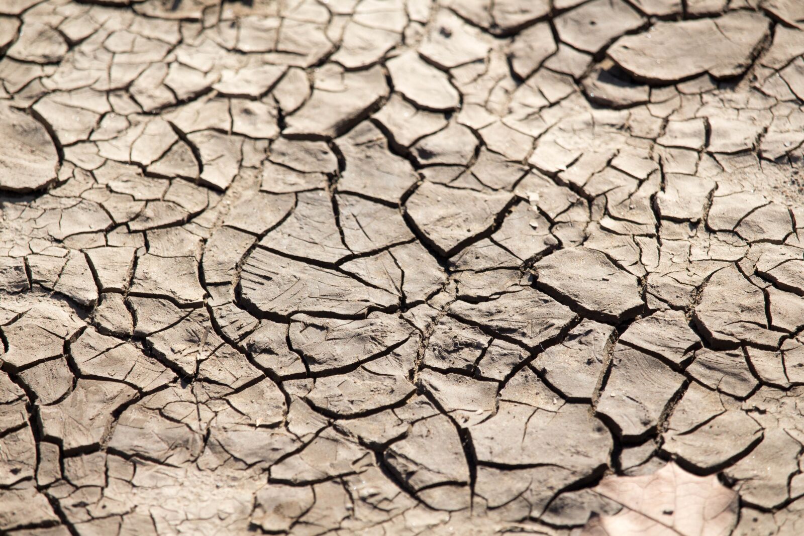 Canon EOS 700D (EOS Rebel T5i / EOS Kiss X7i) sample photo. Drought, climate, arid photography