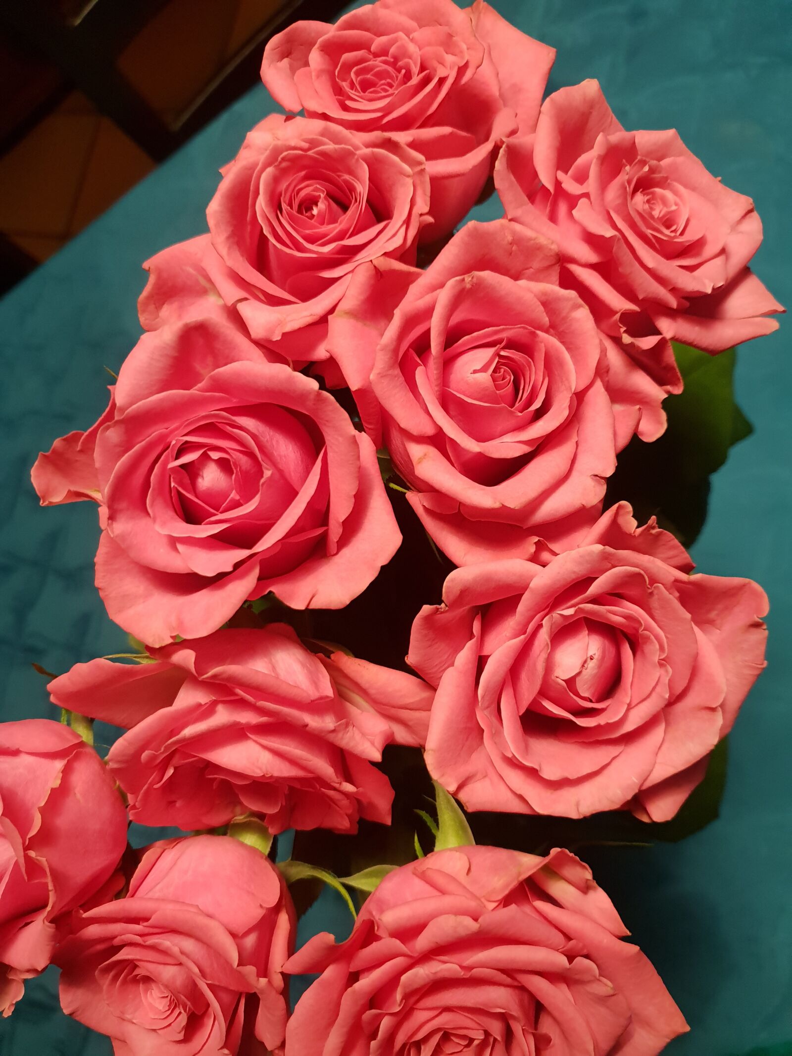 Samsung Galaxy S9 sample photo. Pink roses, blue tablecloth photography