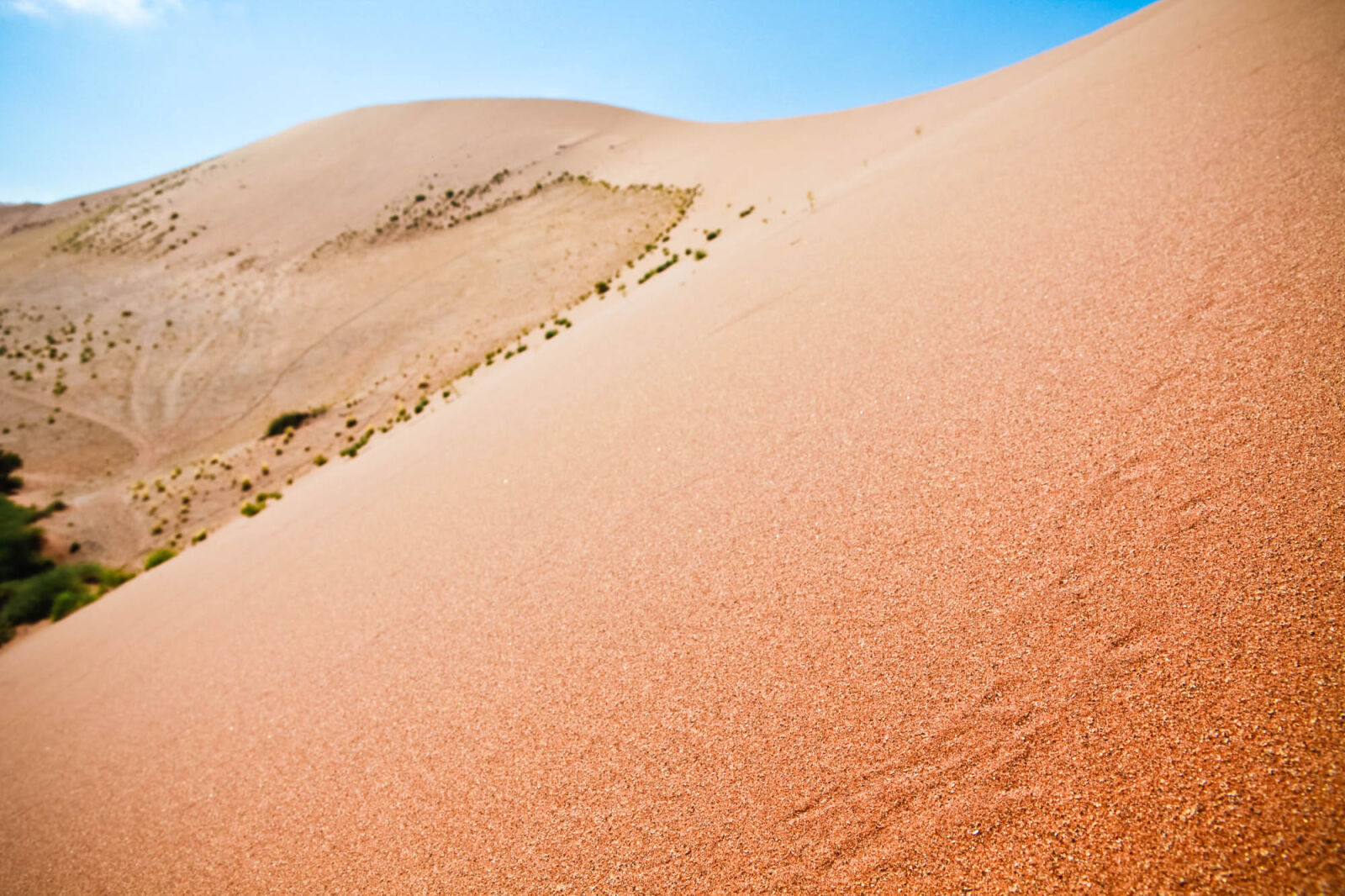 Canon EF 24-70mm F2.8L USM sample photo. Desert, dunes, red, sand photography