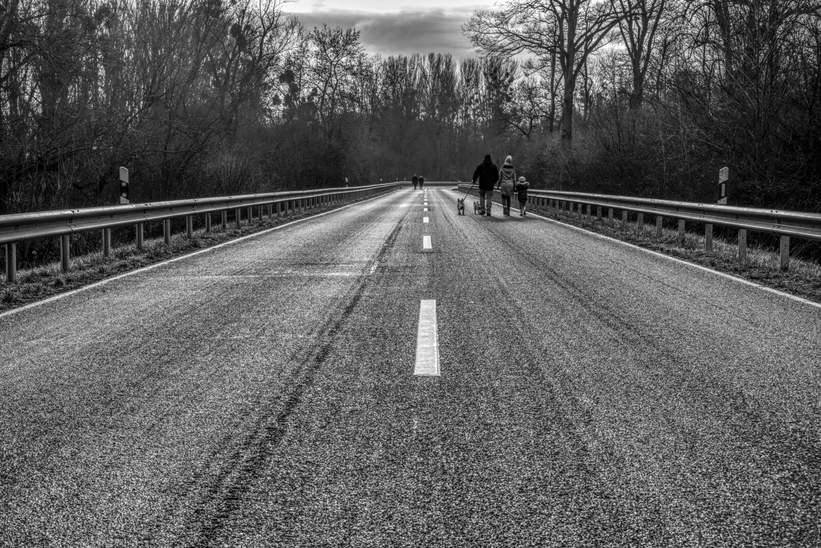 Sony a6000 + Sony E 35mm F1.8 OSS sample photo. Road, pedestrian, dog photography