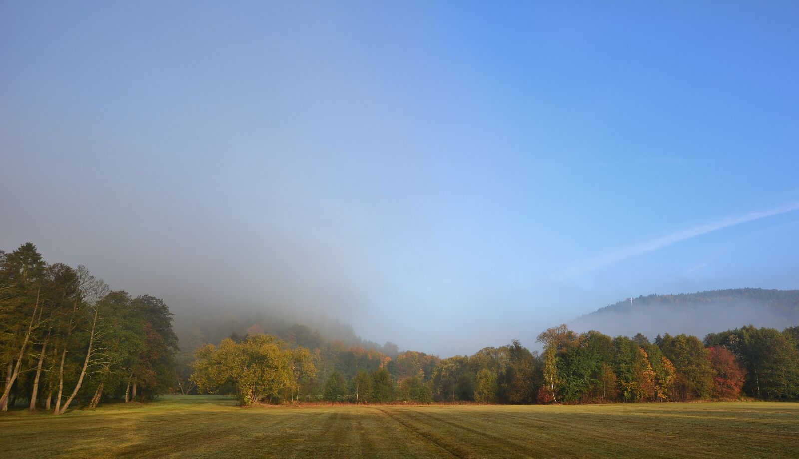 Nikon D5200 sample photo. Morning, fog, park photography