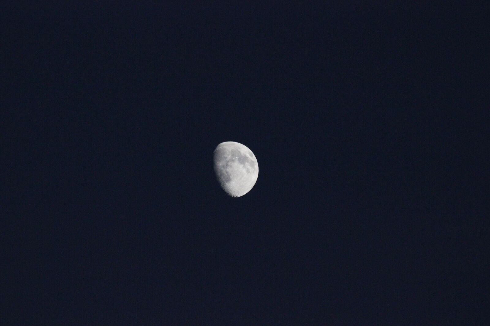 Canon EOS 550D (EOS Rebel T2i / EOS Kiss X4) sample photo. Luna, night, evening photography