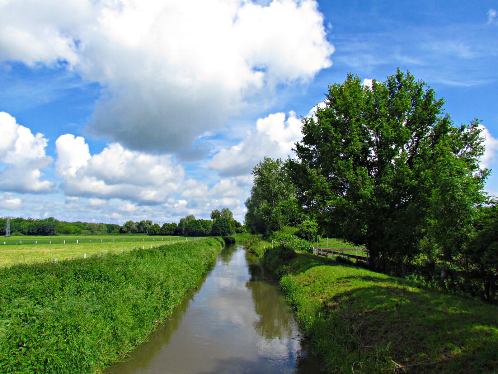 Canon PowerShot SX30 IS sample photo. Brook, nature, landscape photography