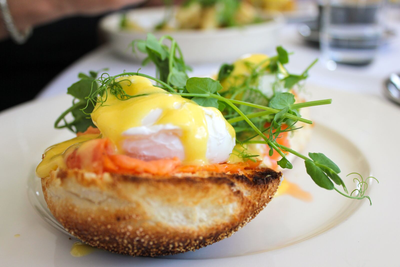 Canon EOS 550D (EOS Rebel T2i / EOS Kiss X4) sample photo. Cafe, brunch, eggs on photography