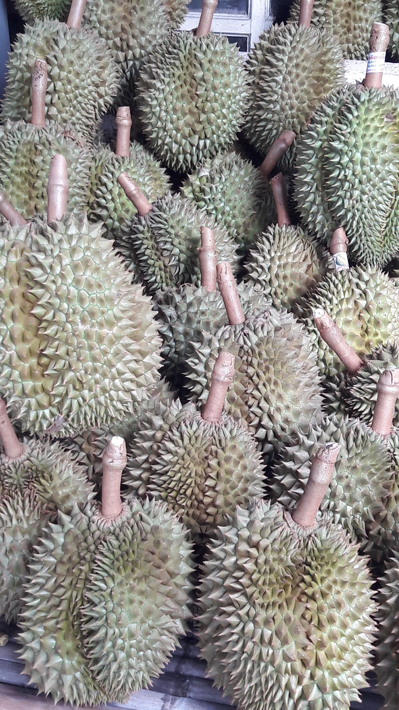 Samsung Galaxy A5(2016) sample photo. Durian, fruit, thailand photography