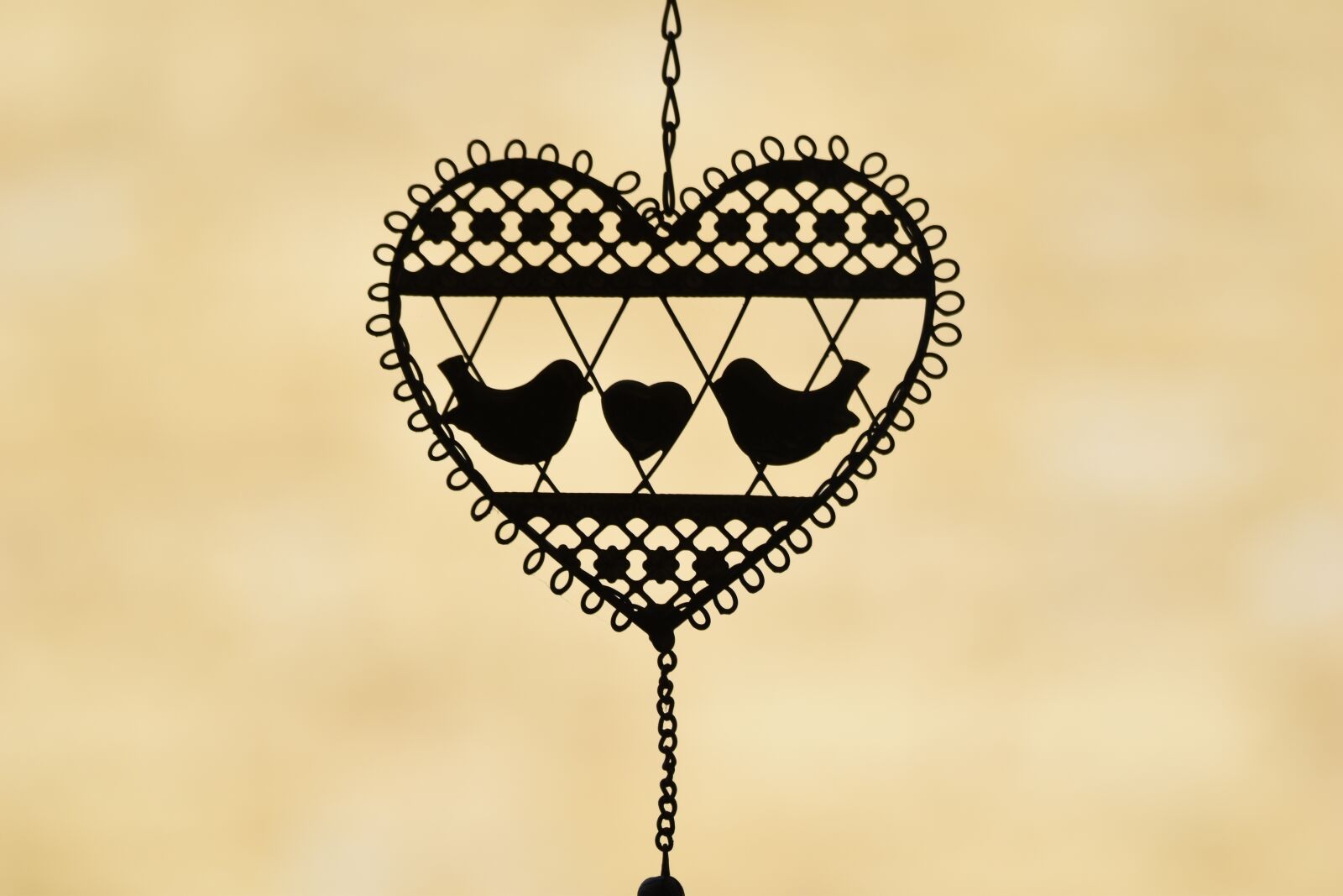 Nikon D5500 sample photo. Hearts, chain, love photography