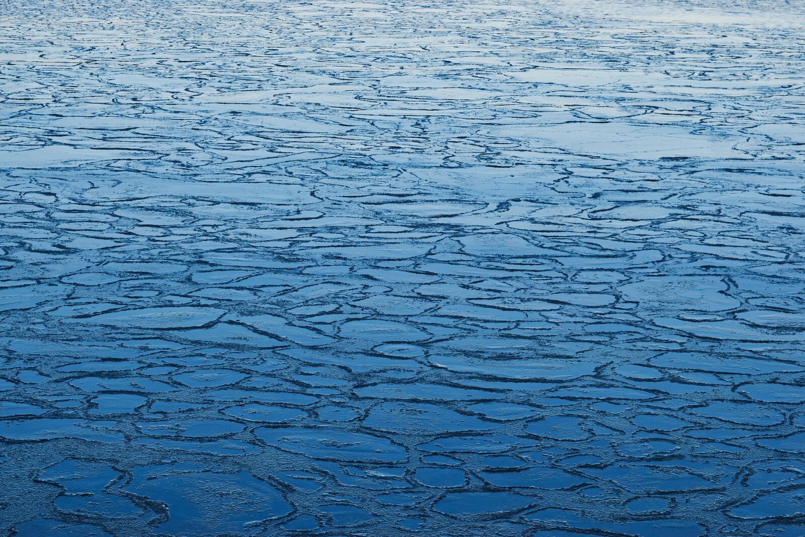 Nikon D5300 sample photo. Ice floes, pattern, texture photography
