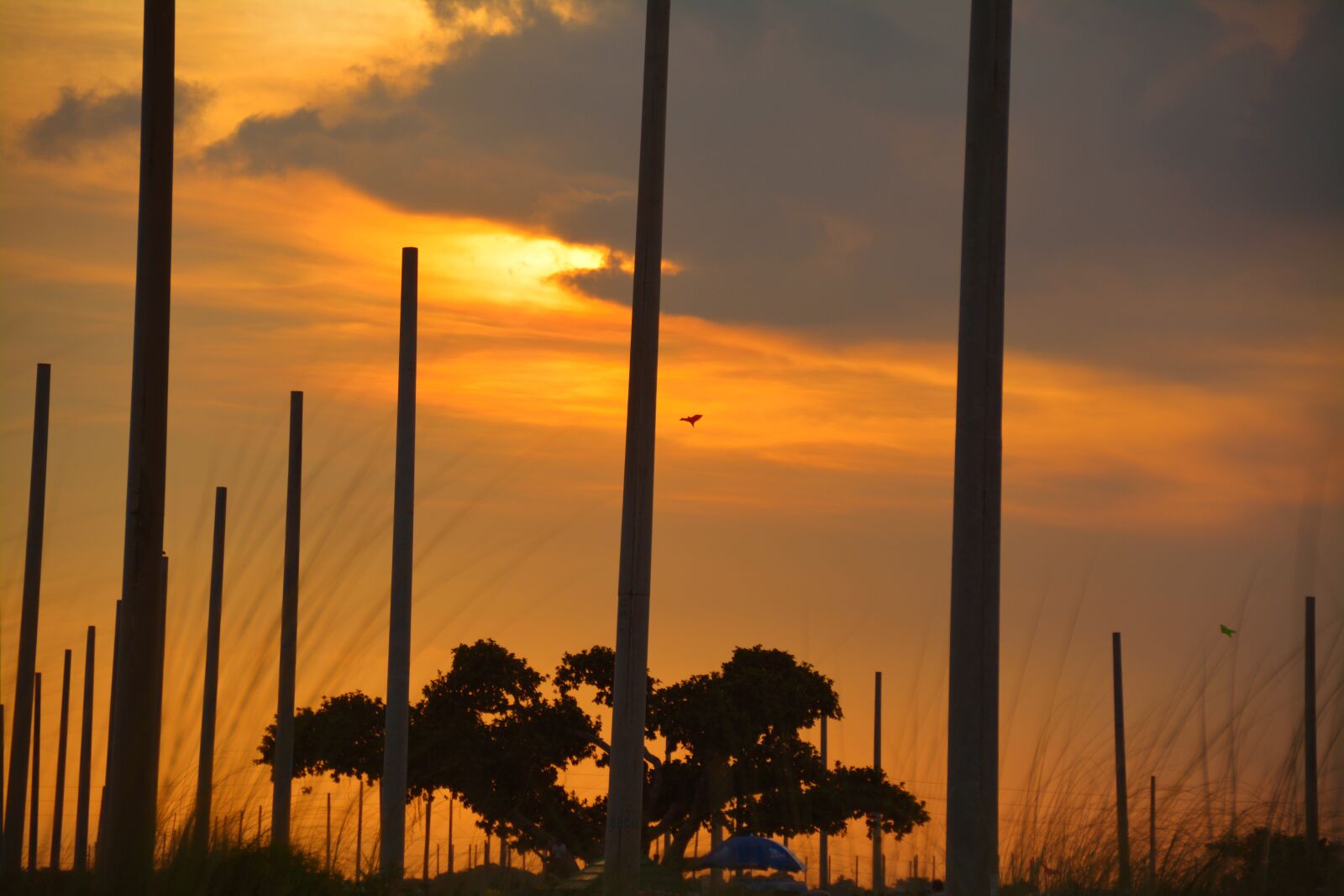 Nikon D5200 sample photo. Nature, sunset, sky photography