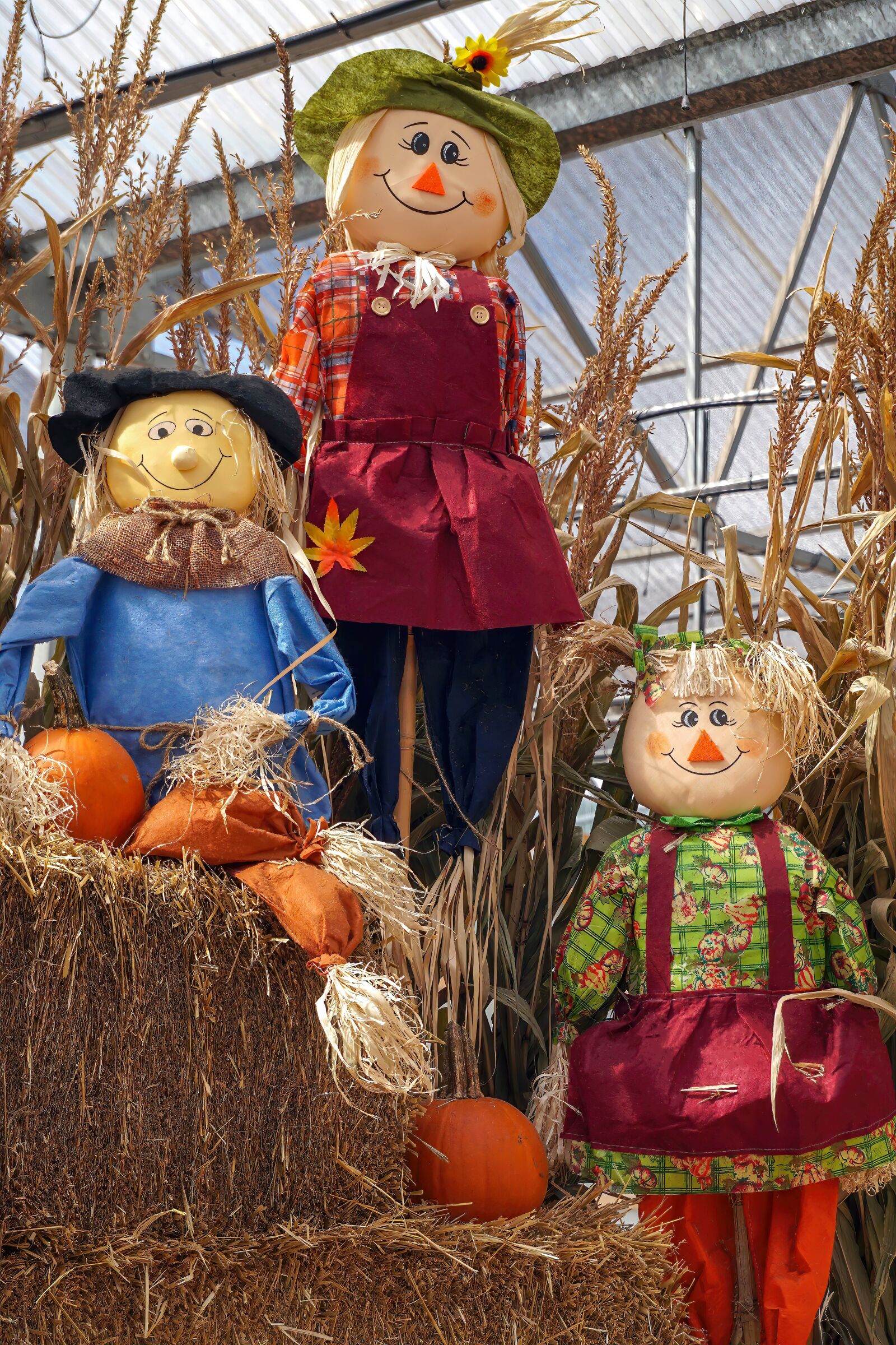 Sony a6300 + Sony E 16-50mm F3.5-5.6 PZ OSS sample photo. Scarecrows, autumn, fall photography