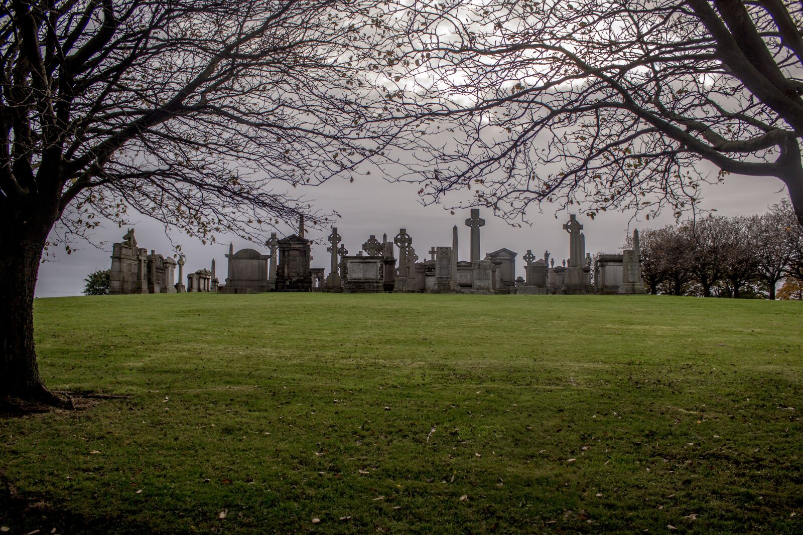 Canon EOS 600D (Rebel EOS T3i / EOS Kiss X5) sample photo. Necropolis, glasgow, scotland photography