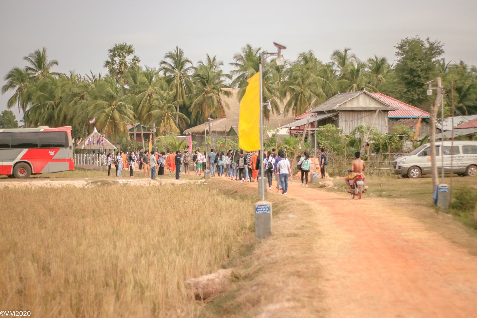 Canon EOS 80D sample photo. Country side, coconut, tree photography