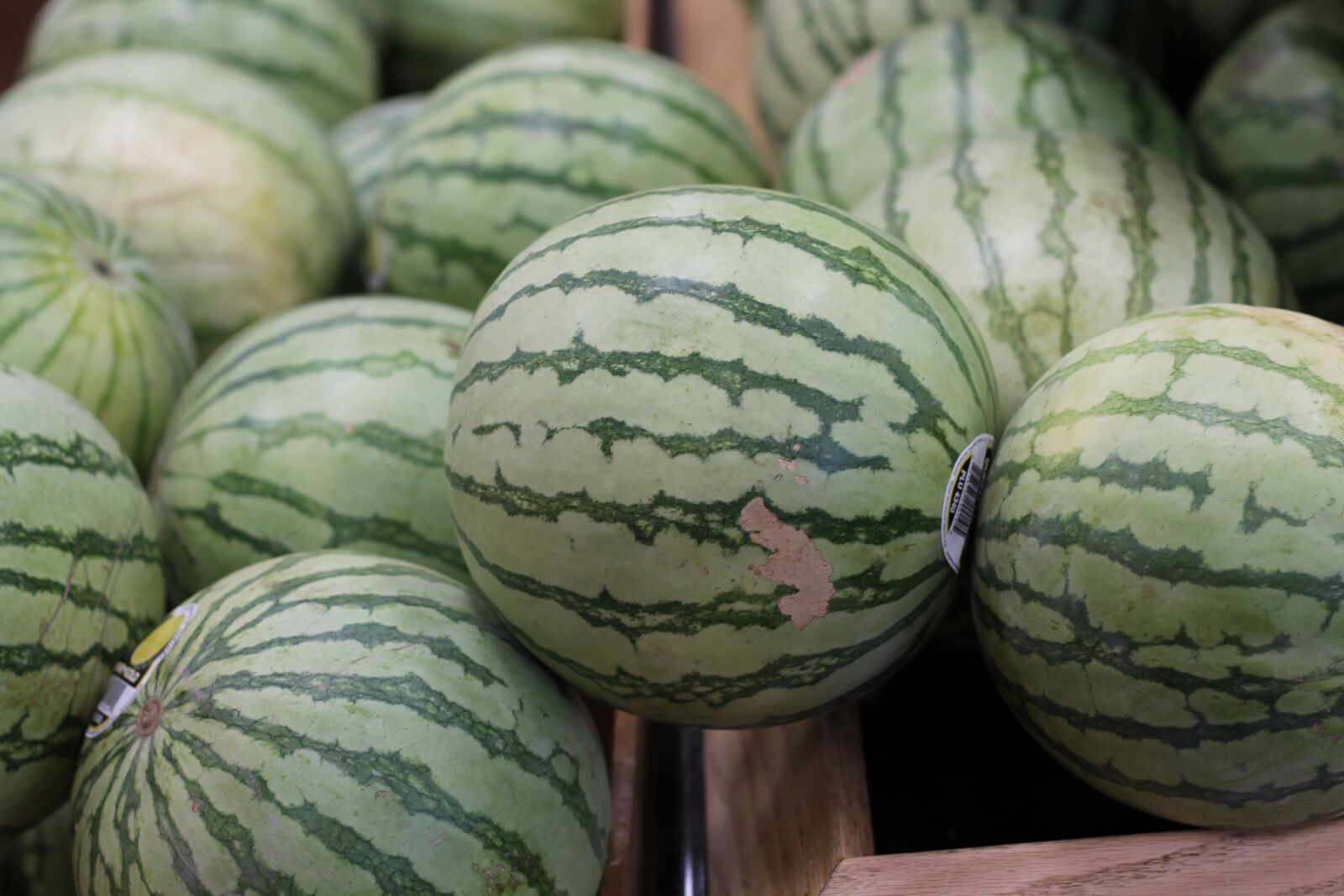 Canon EOS 1100D (EOS Rebel T3 / EOS Kiss X50) sample photo. Watermelon, fruit, melon photography