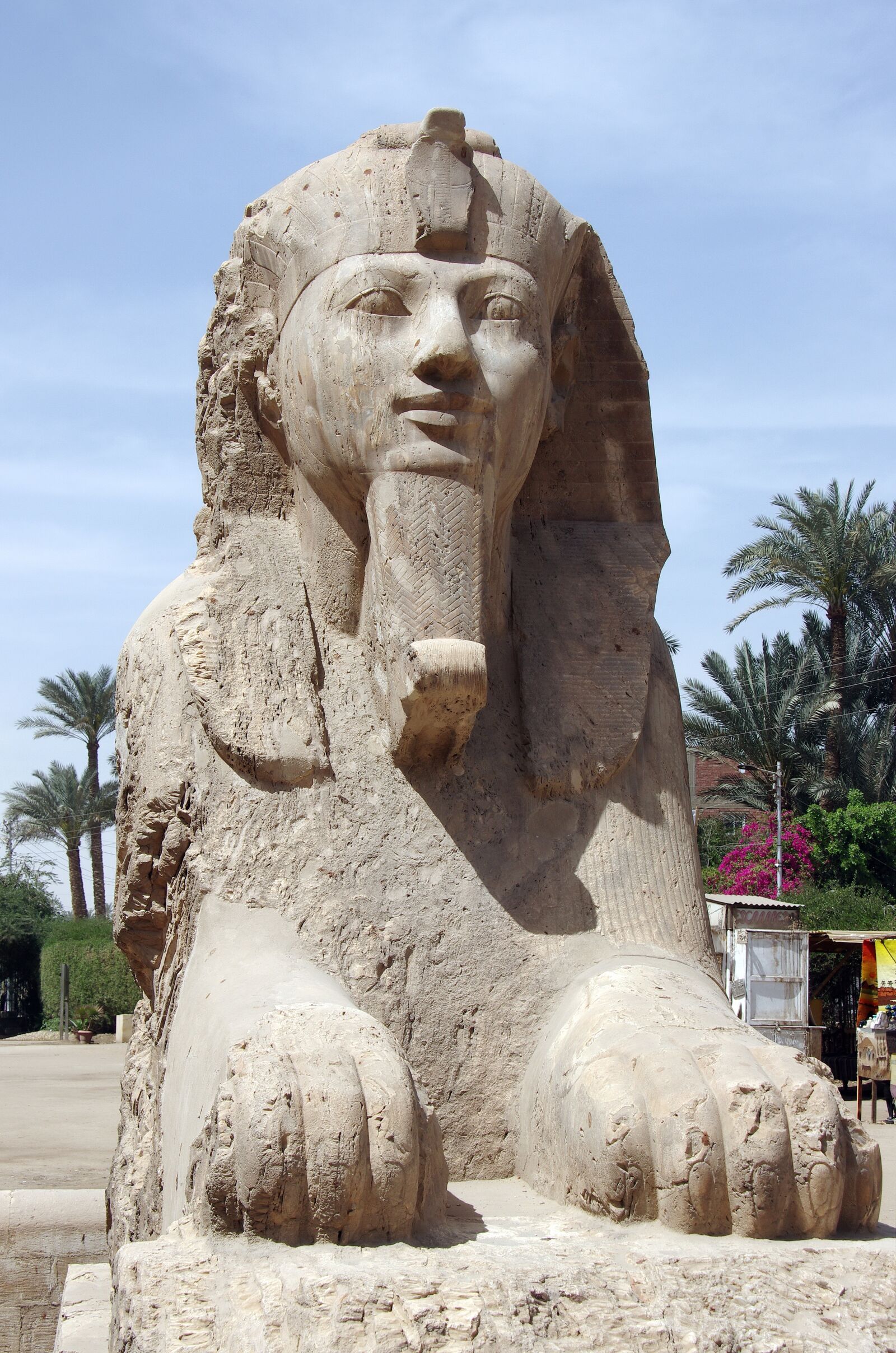 Pentax K-5 sample photo. Egypt, memphis, sphynx photography