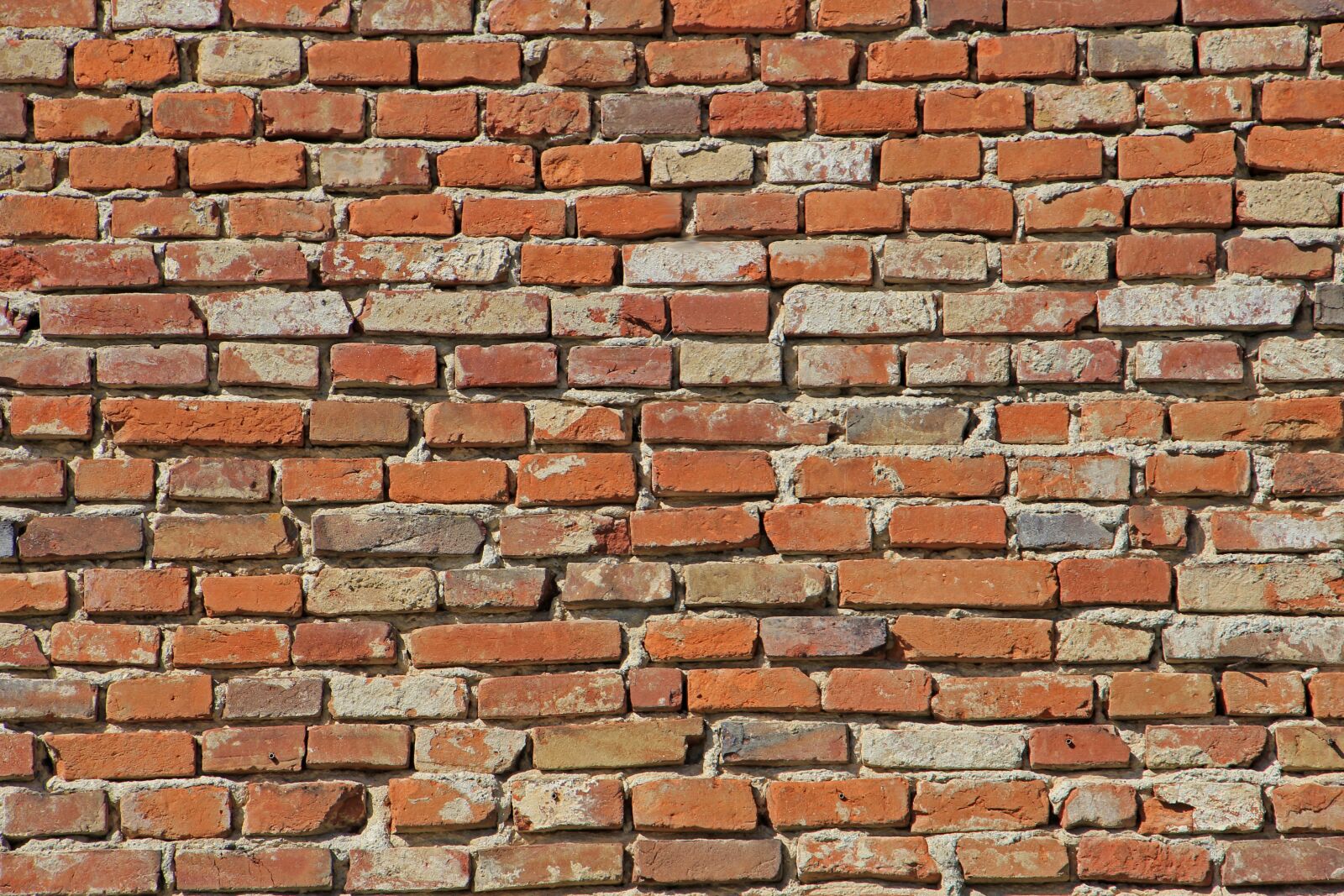 Canon EOS 60D sample photo. Wall, stones, structure photography