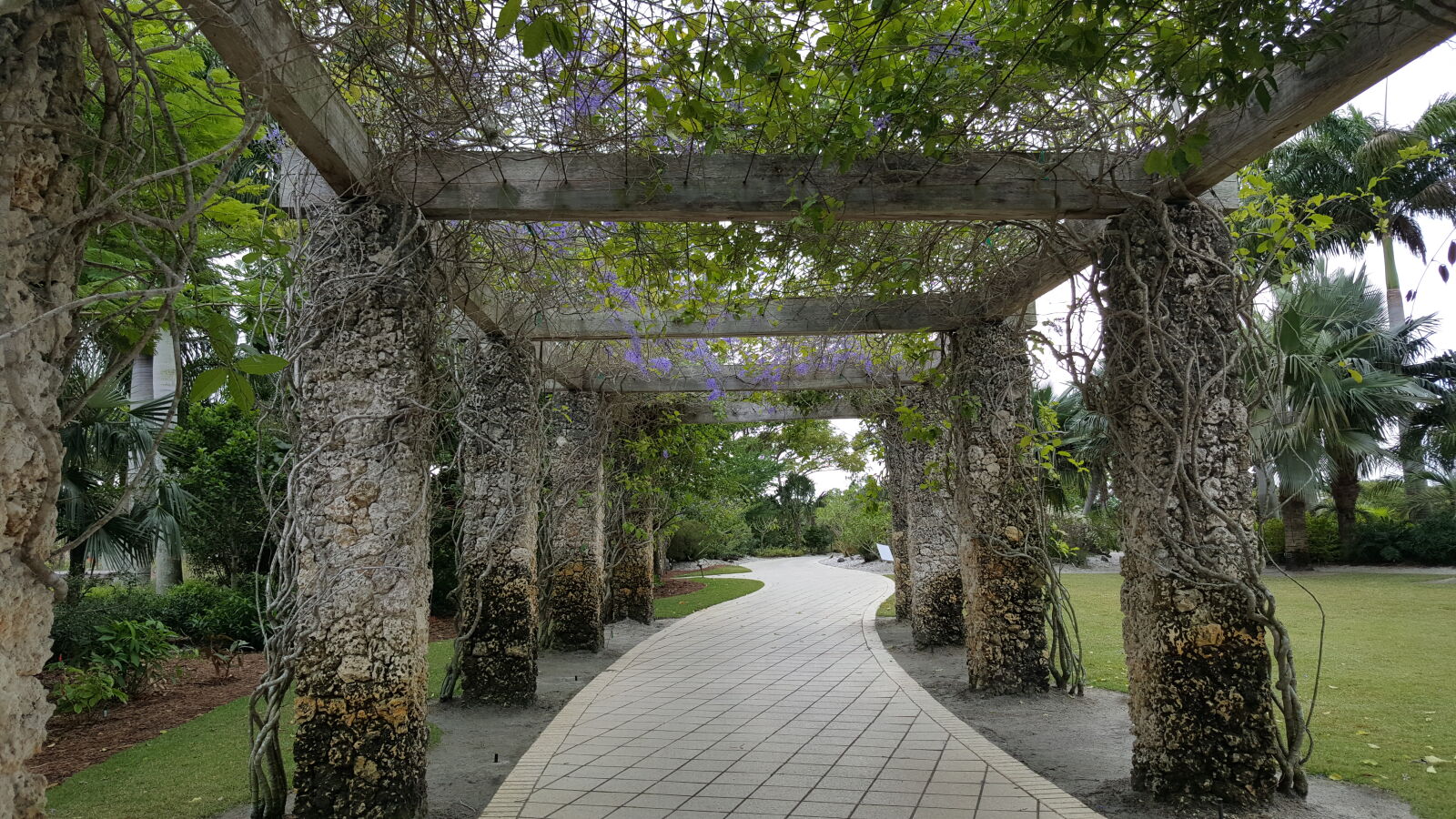 Samsung GALAXY S6 edge sample photo. Botanical, gardens, naples photography