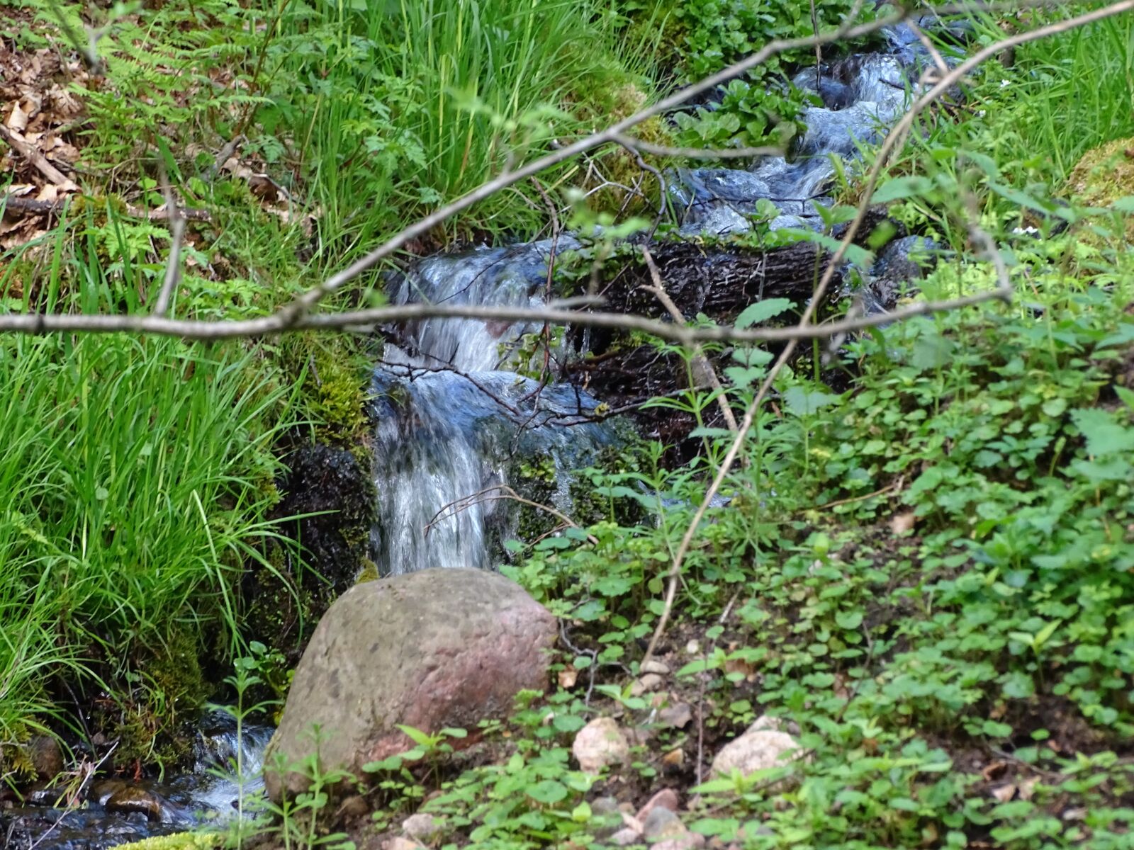 Sony Cyber-shot DSC-HX400V sample photo. Forest, stream, nature photography