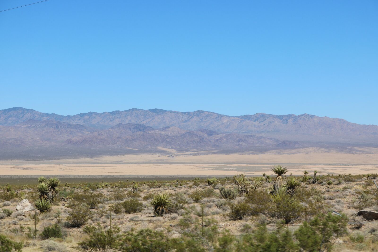 Canon EOS 750D (EOS Rebel T6i / EOS Kiss X8i) sample photo. Desert, plants, landscape photography