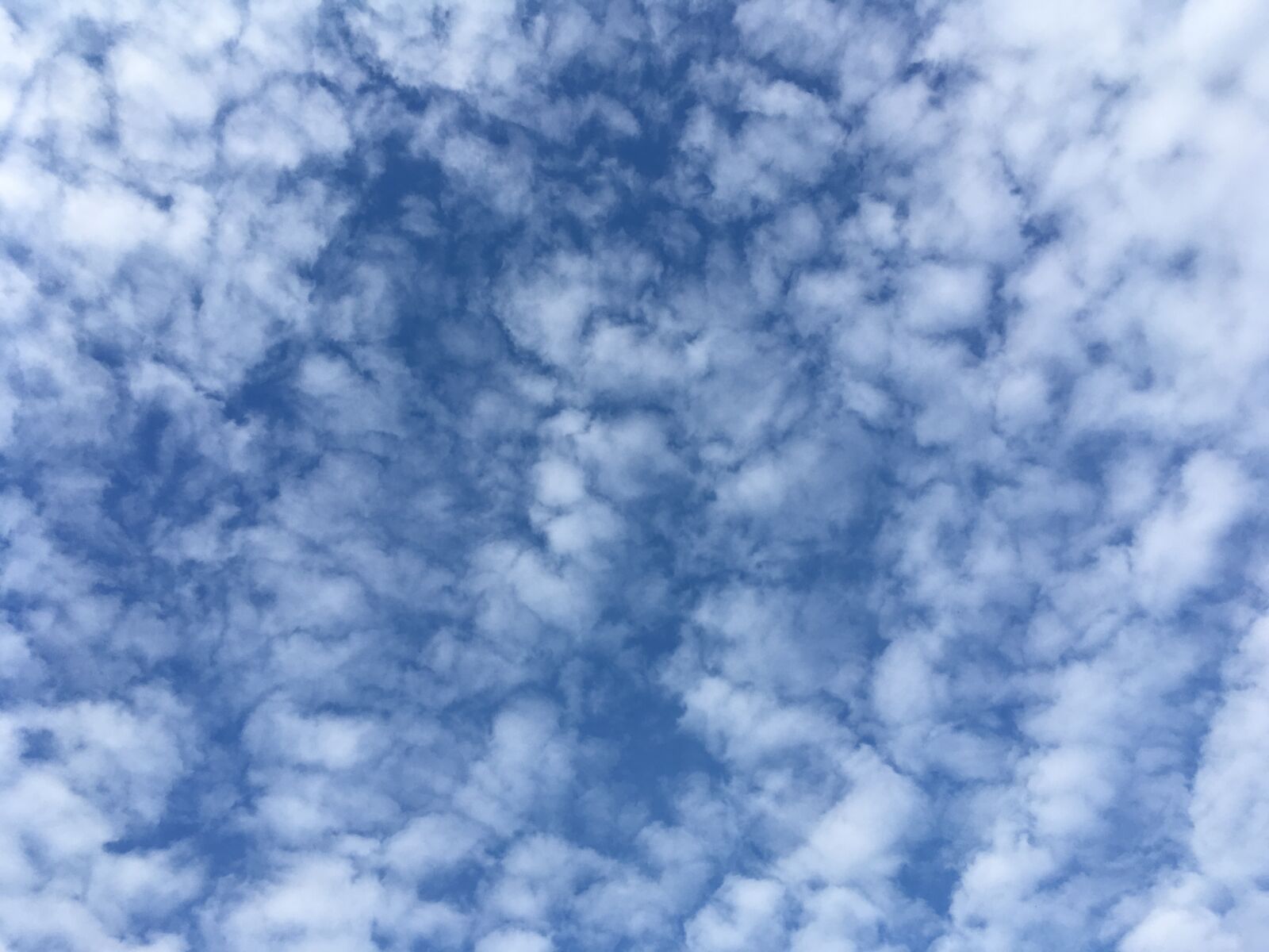 Apple iPhone SE sample photo. Clouds, altocumulus, sky photography
