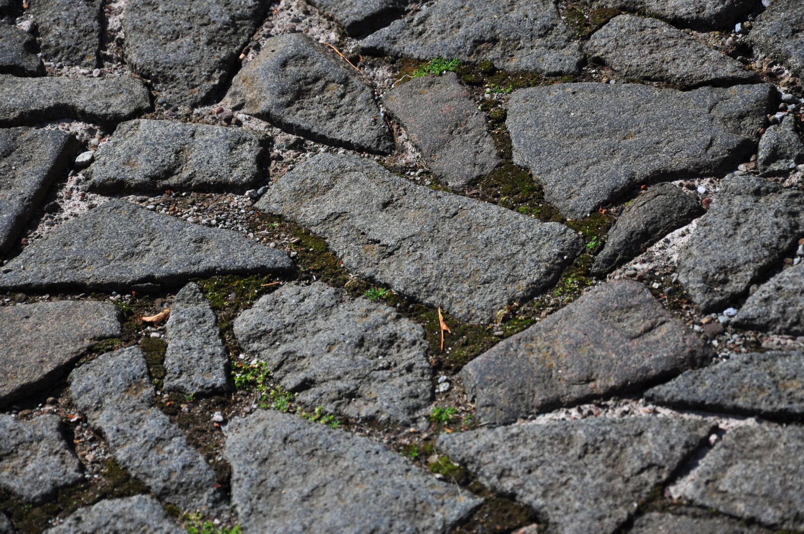 Nikon D90 sample photo. Road, walkway, the stones photography