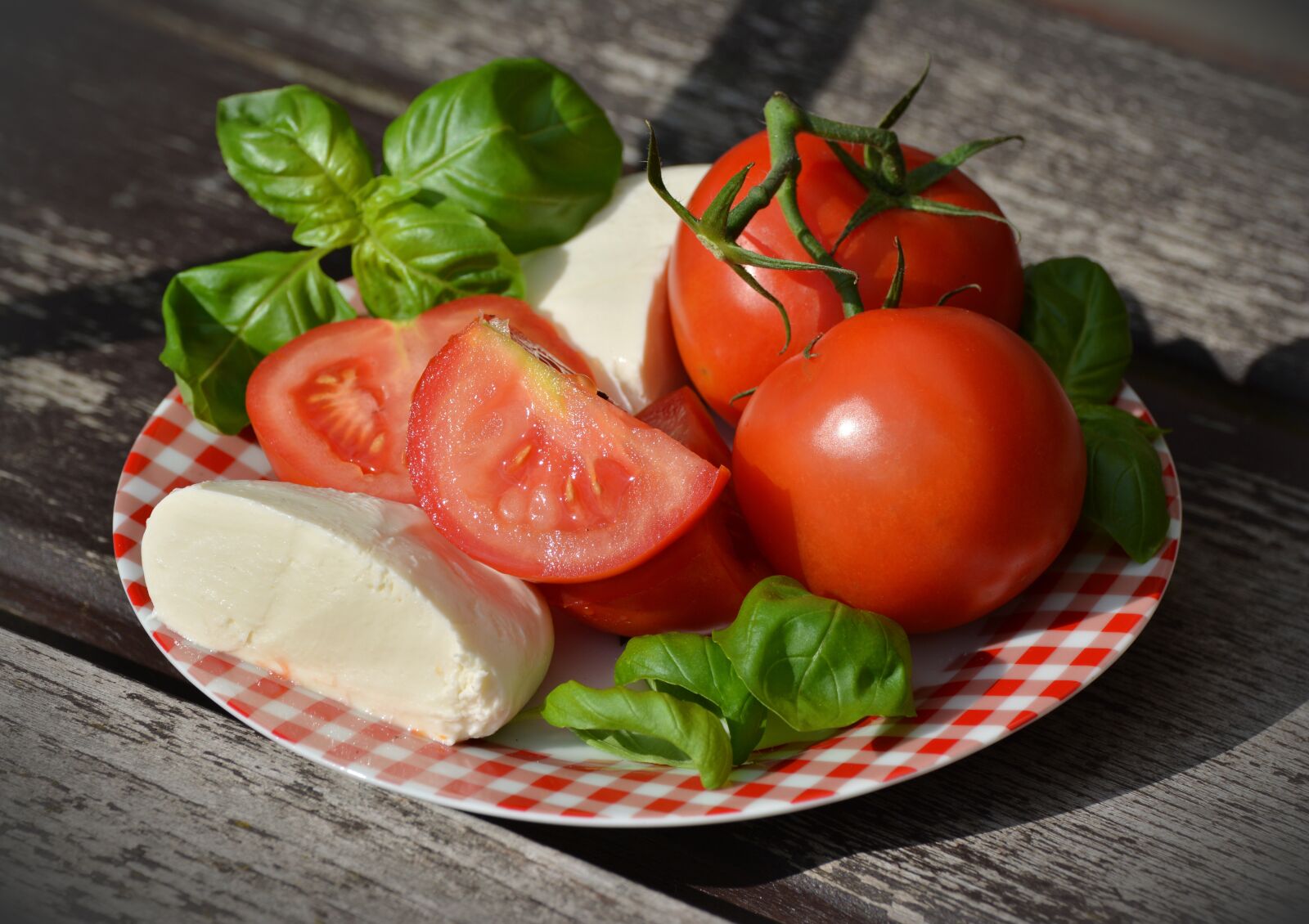 Nikon D5200 sample photo. Tomatoes, caprese, mozzarella photography
